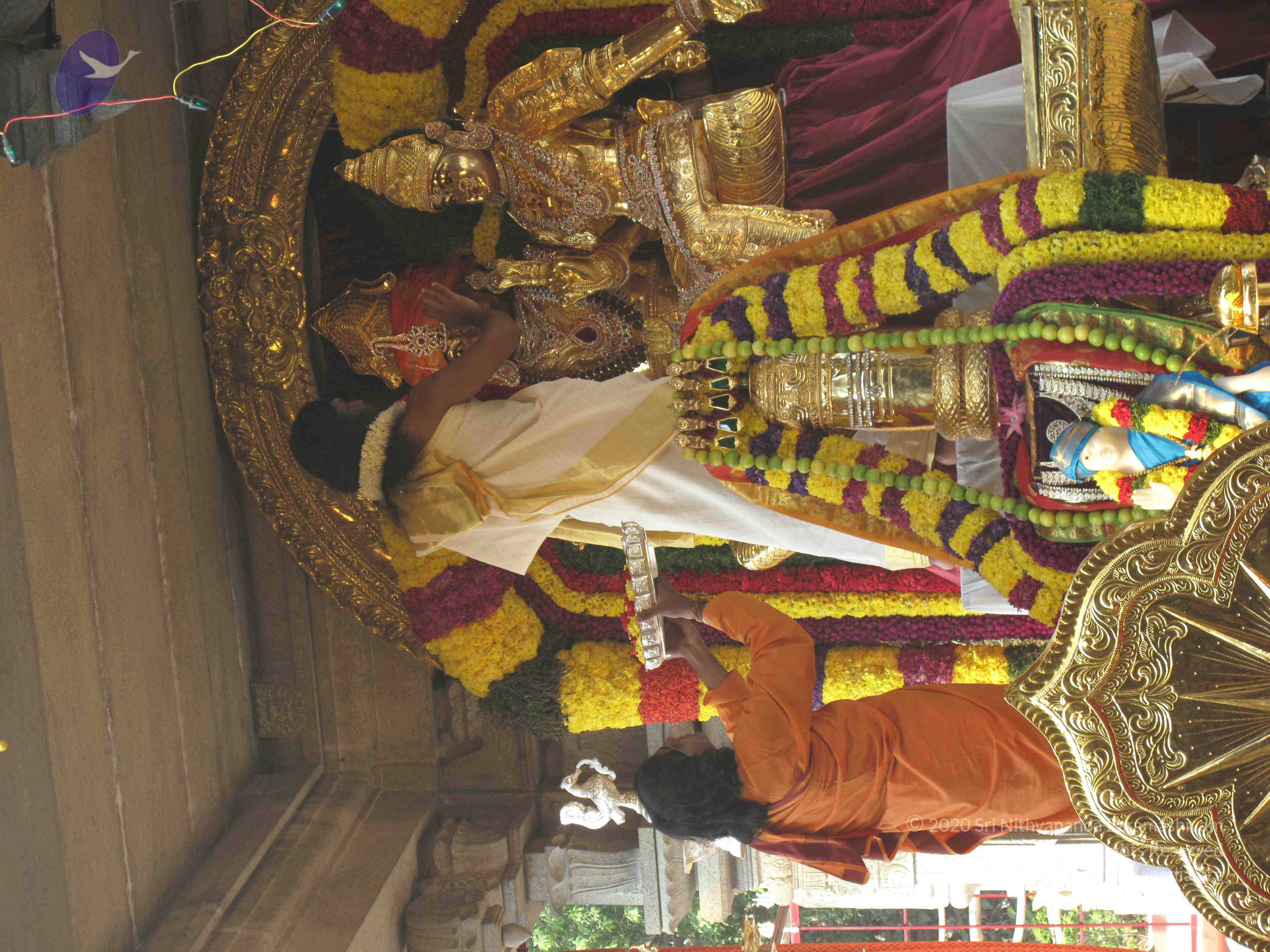 20100101_Photo_1031_IMG_1498_CMP_WM