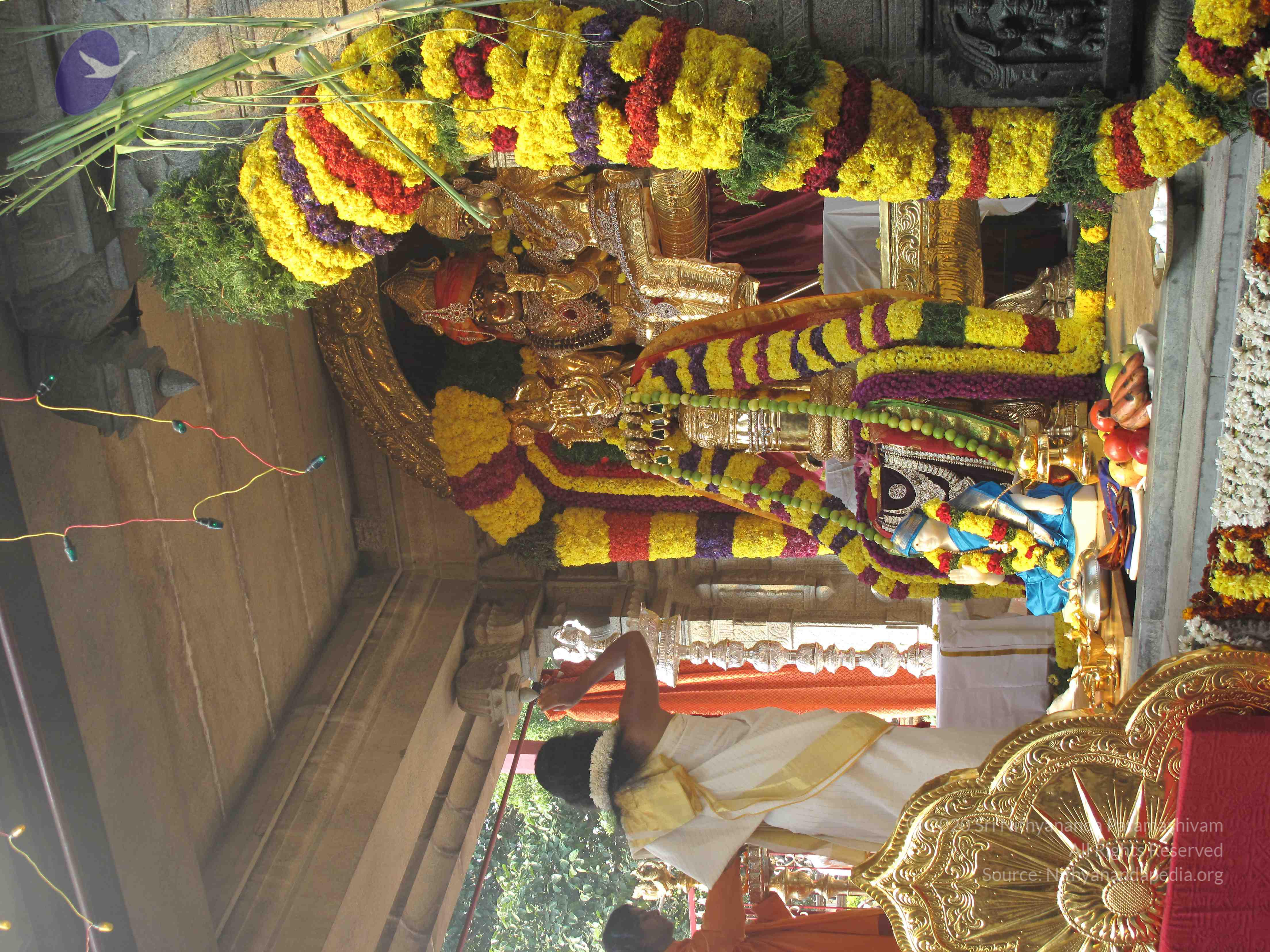 20100101_Photo_1035_IMG_1514_CMP_WM