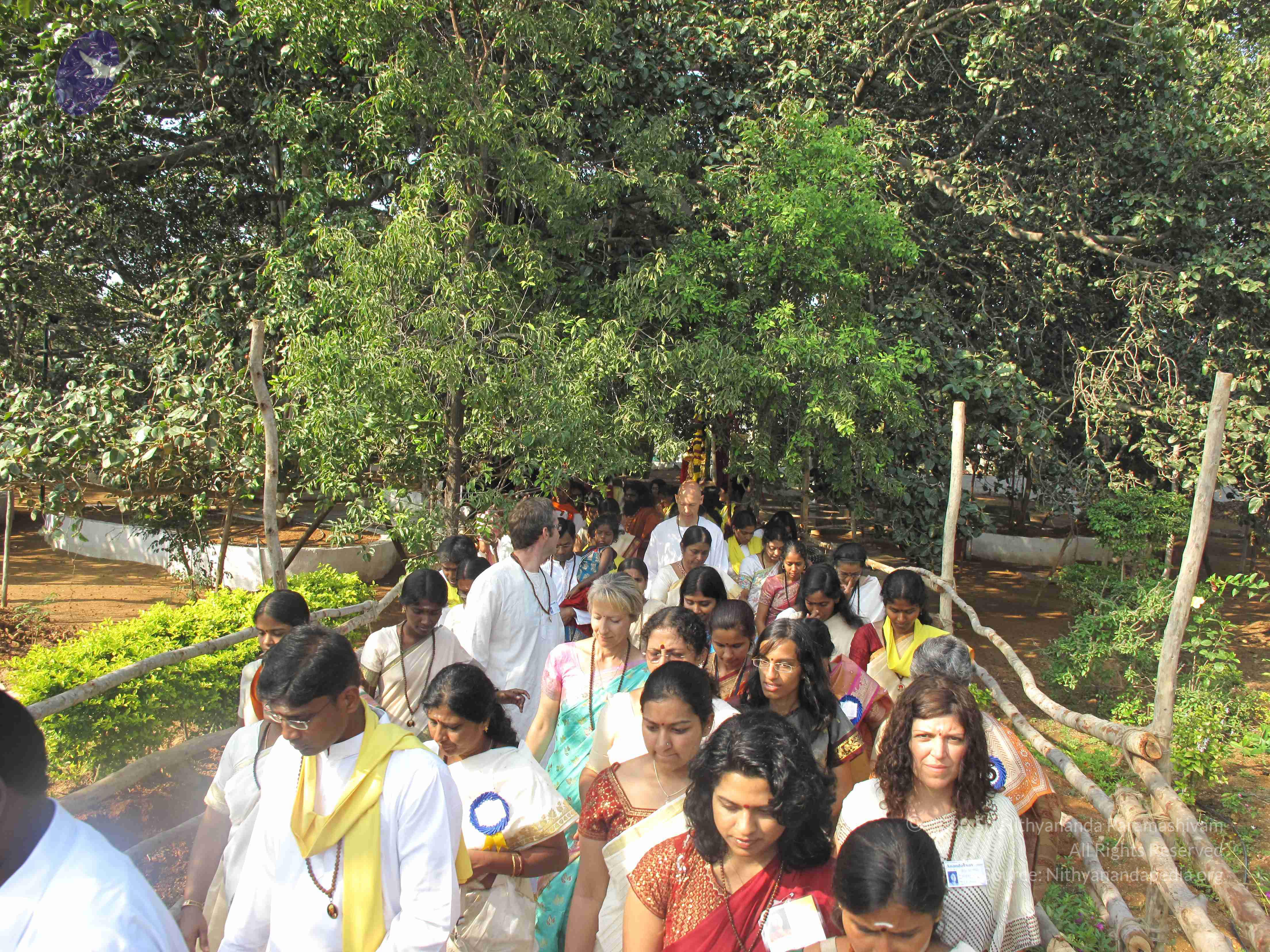 20100101_Photo_1036_IMG_1523_CMP_WM