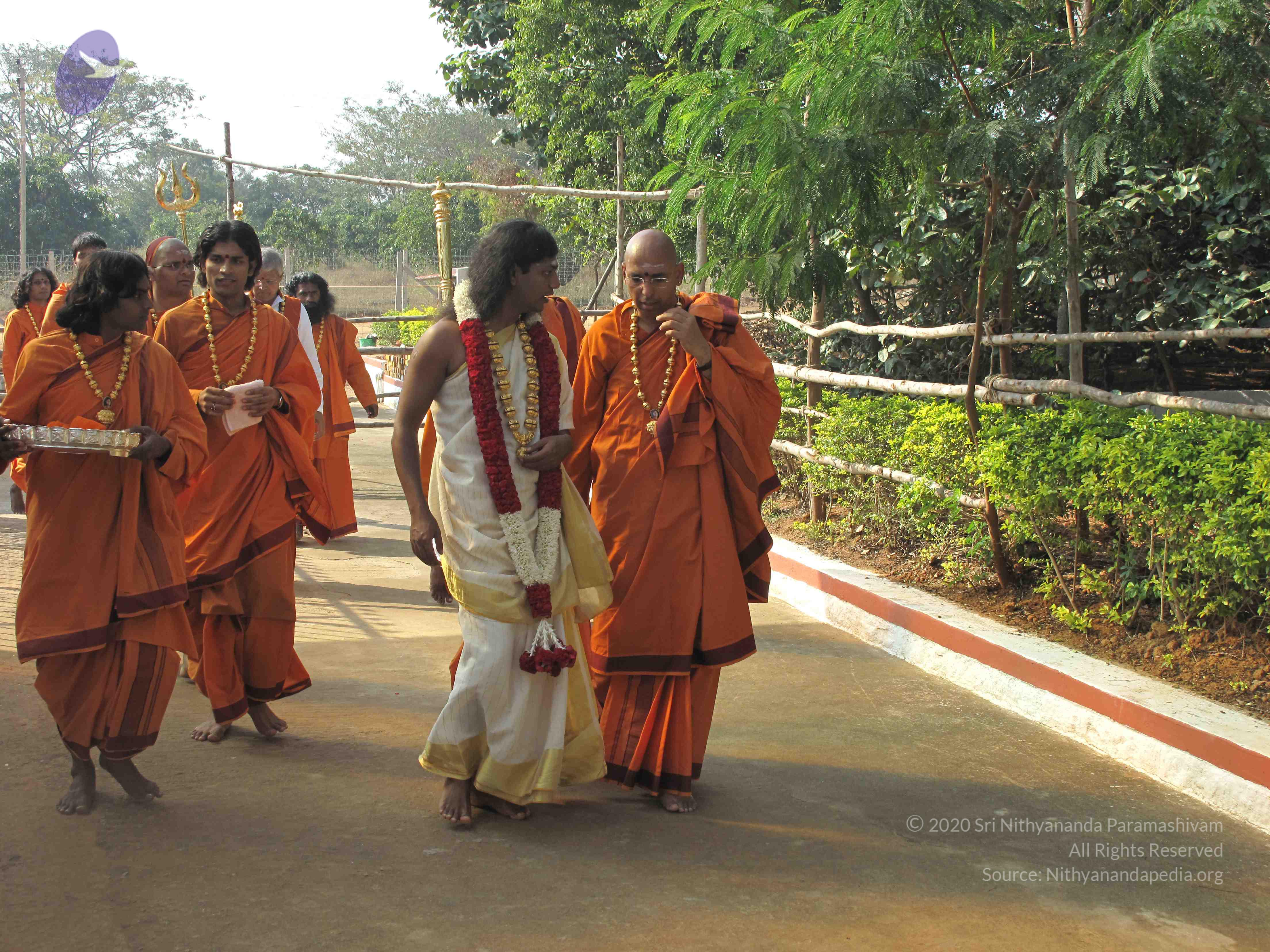 20100101_Photo_1051_IMG_1516_CMP_WM