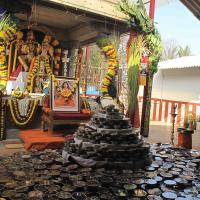 20100101_Photo_1054_IMG_1492_CMP_WM