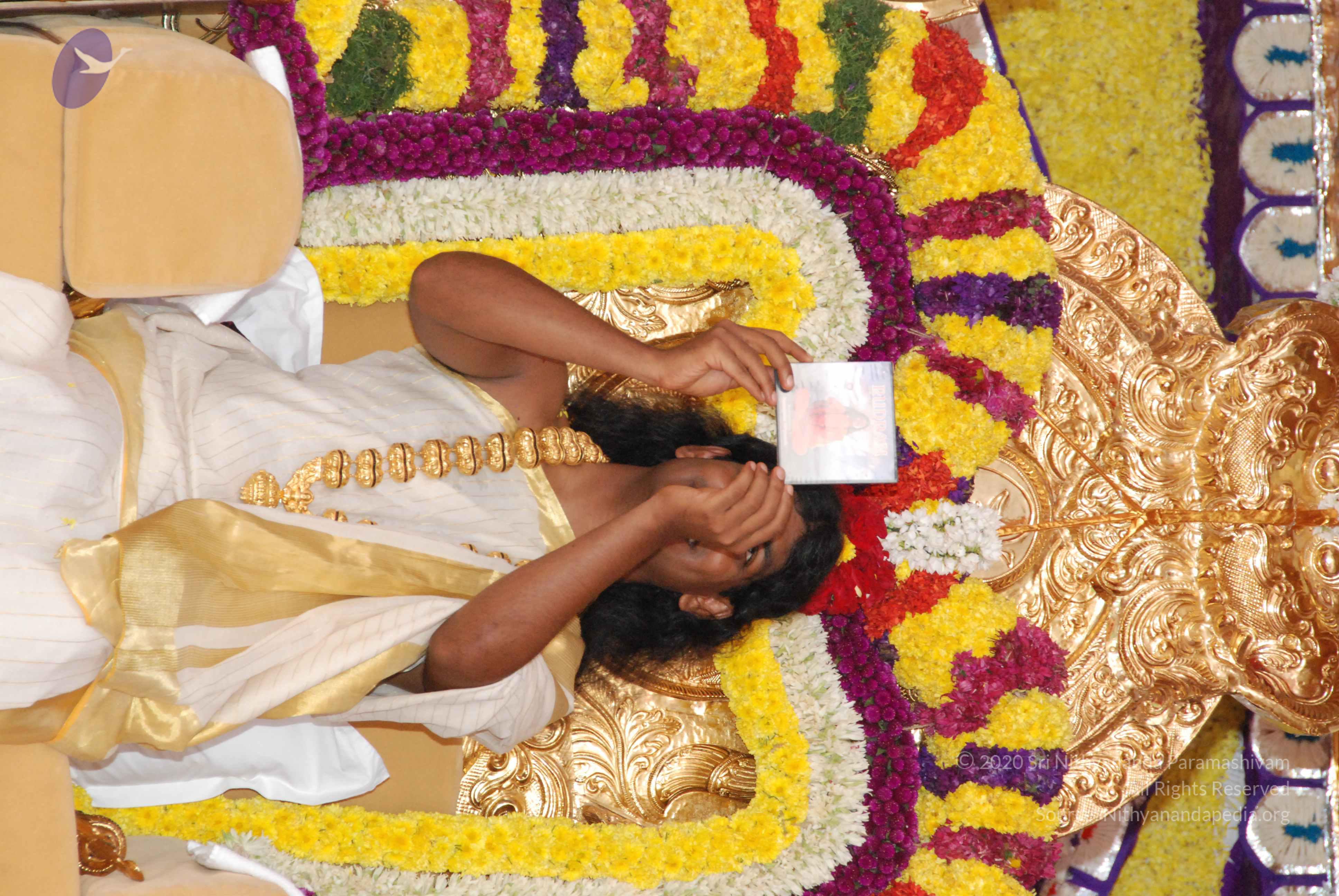 20100101_Photo_1029_DSC_2073_CMP_WM