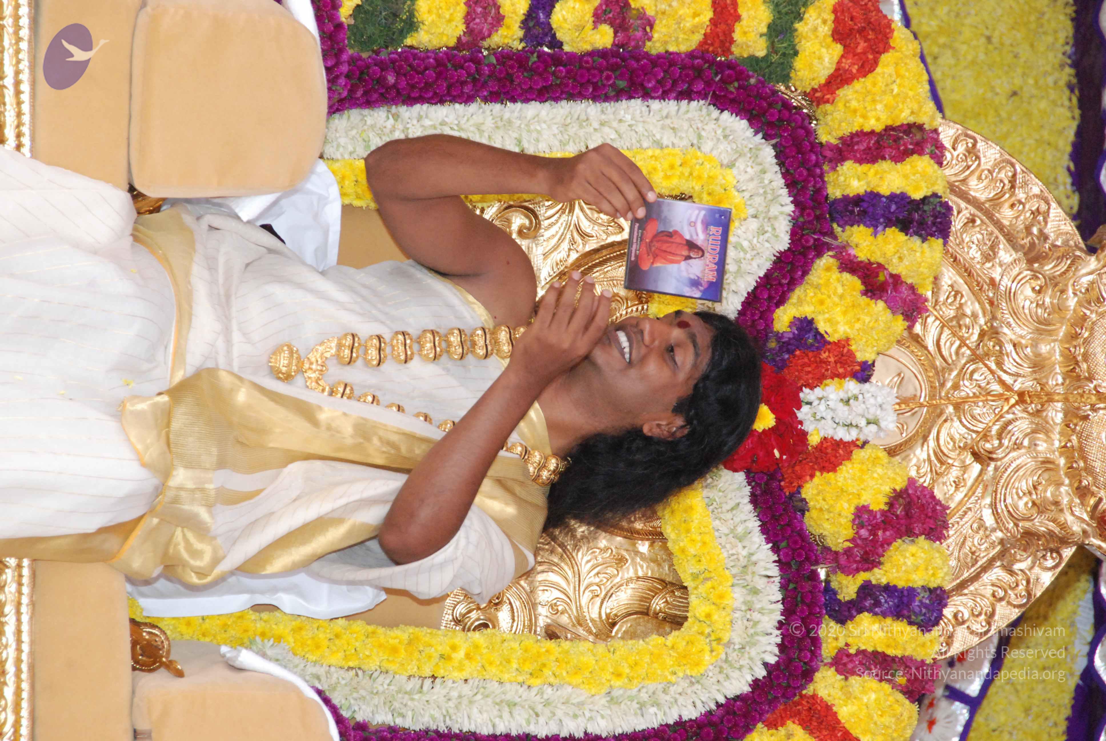 20100101_Photo_1055_DSC_2075_CMP_WM