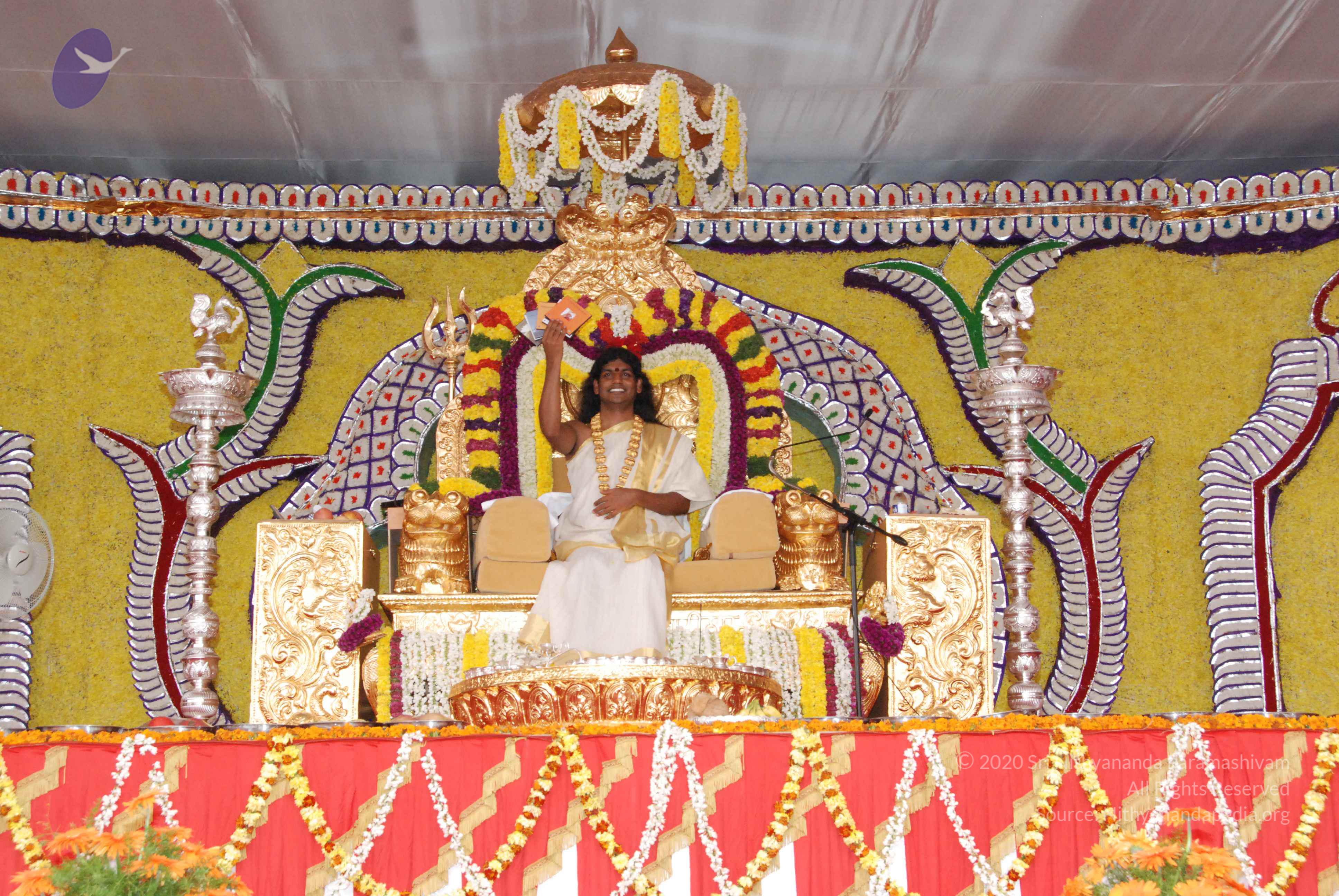 20100101_Photo_1069_DSC_2082_CMP_WM