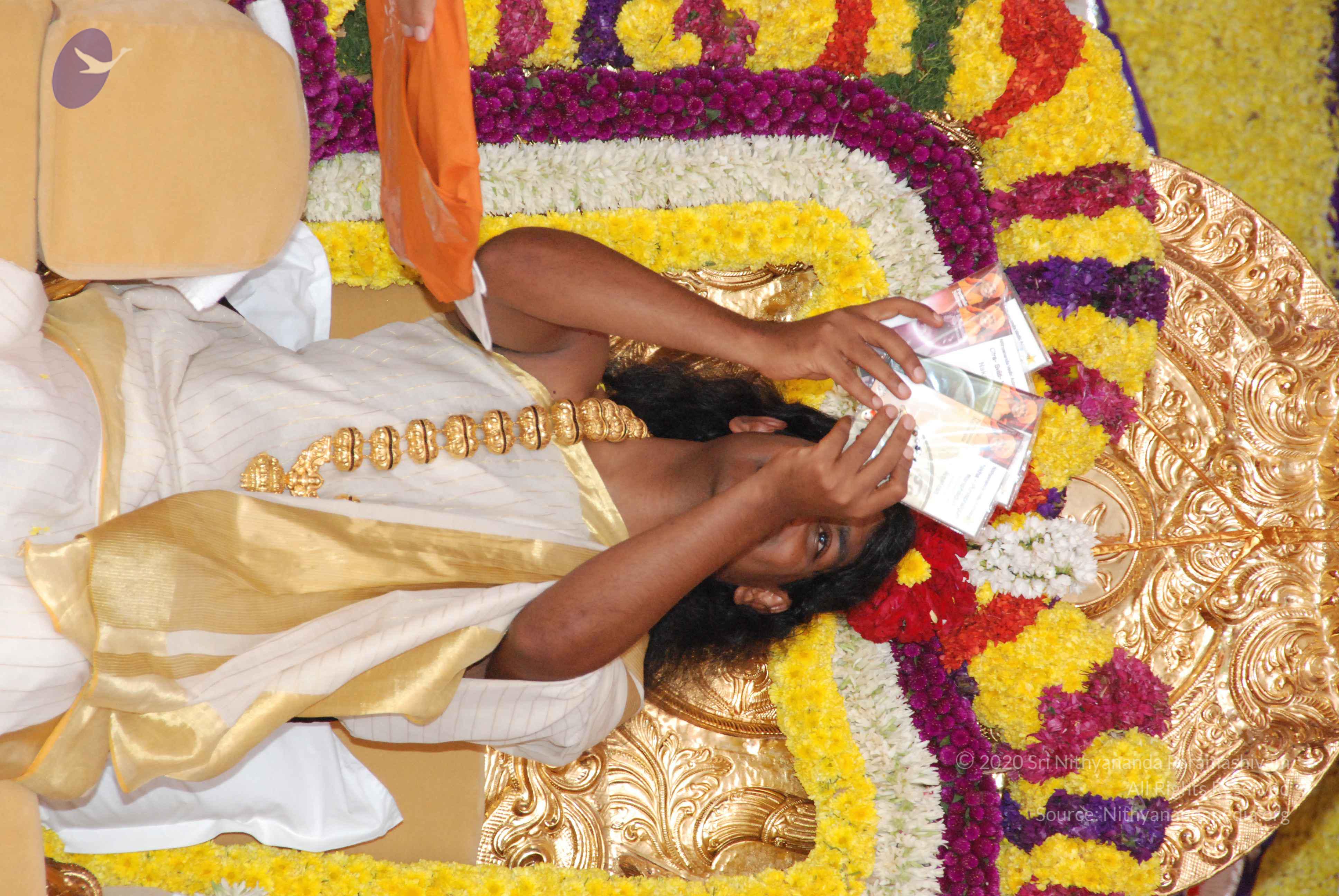 20100101_Photo_1084_DSC_2077_CMP_WM