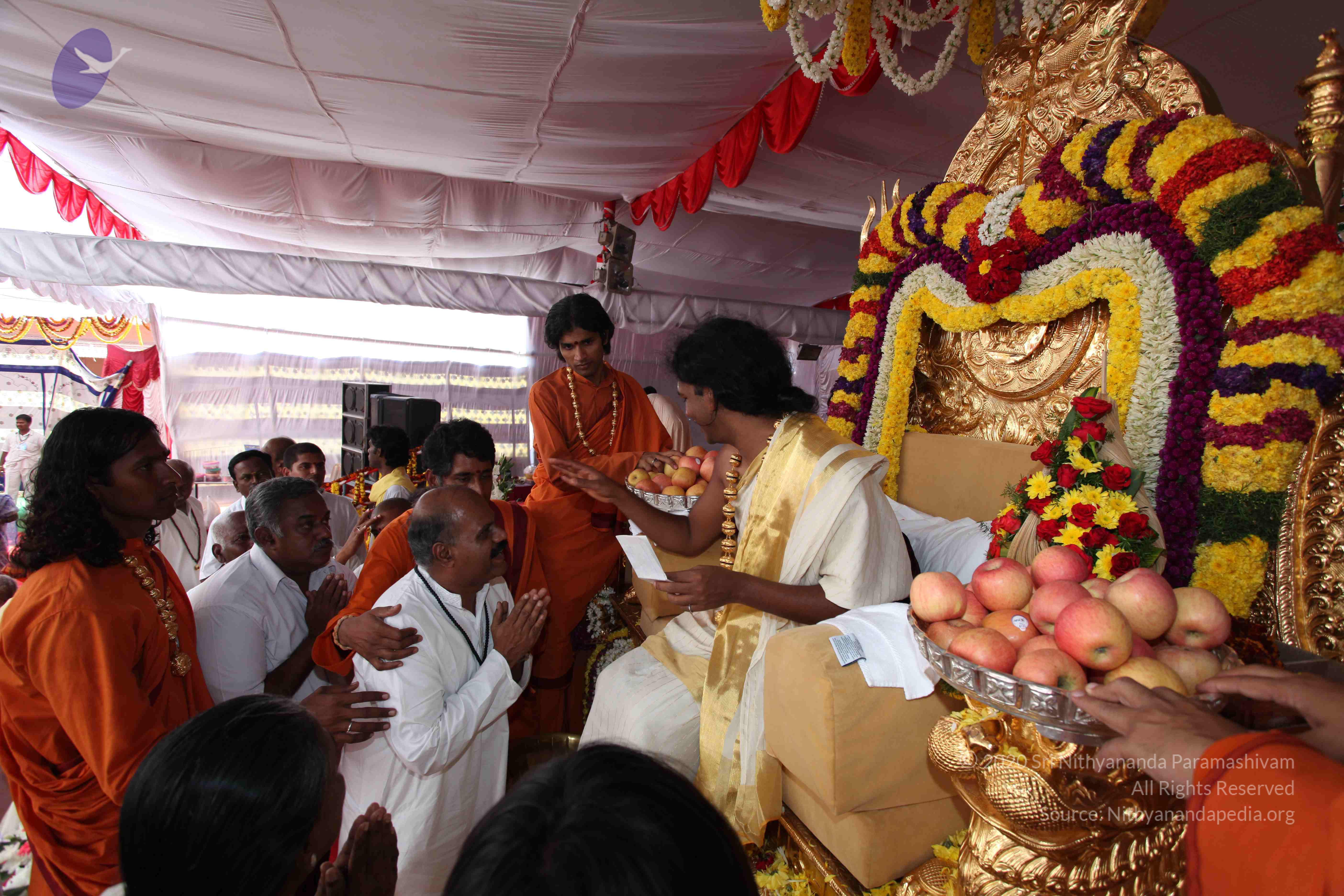 20100101_Photo_1005_IMG_5160_CMP_WM