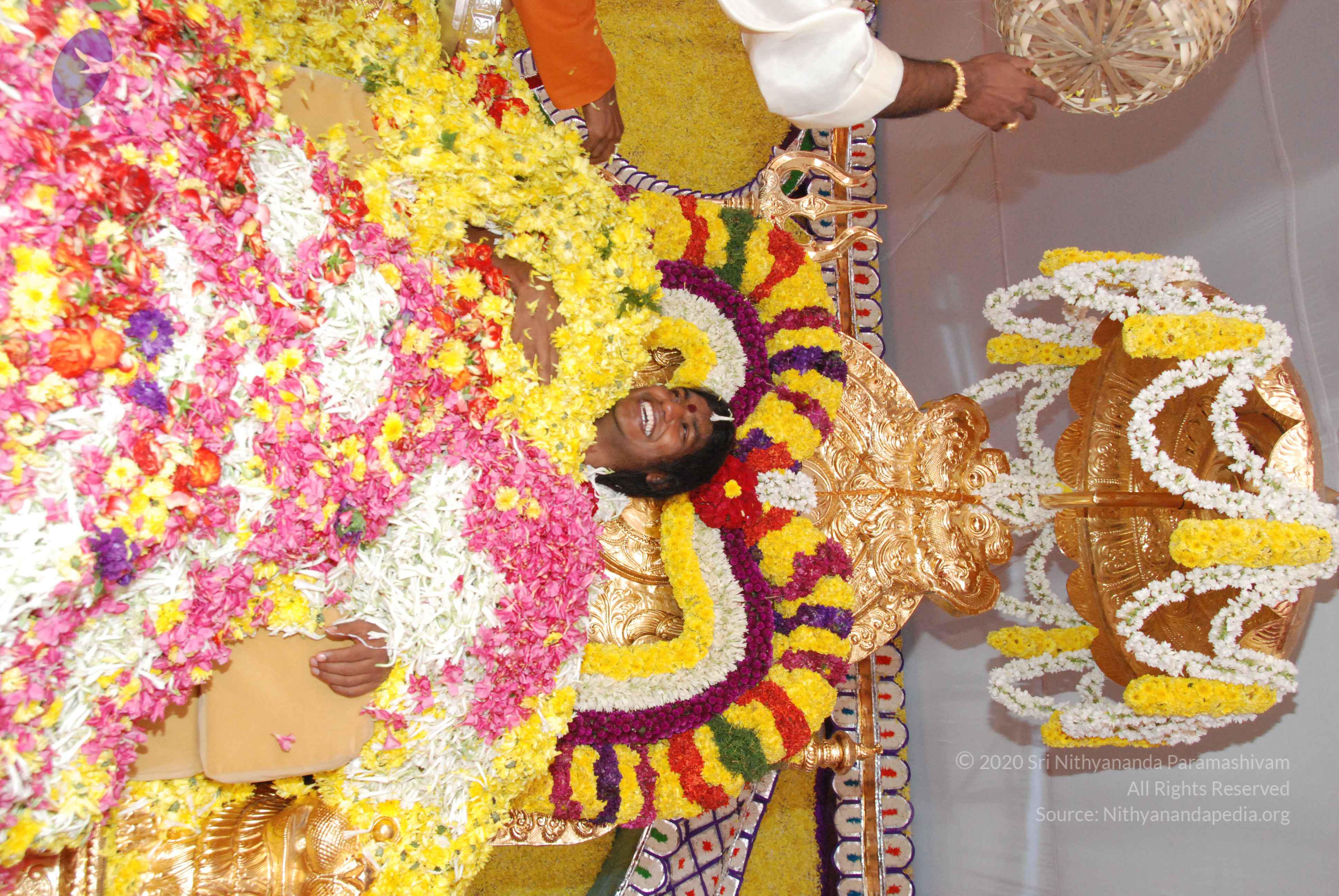 20100101_Photo_1017_DSC_2179_CMP_WM