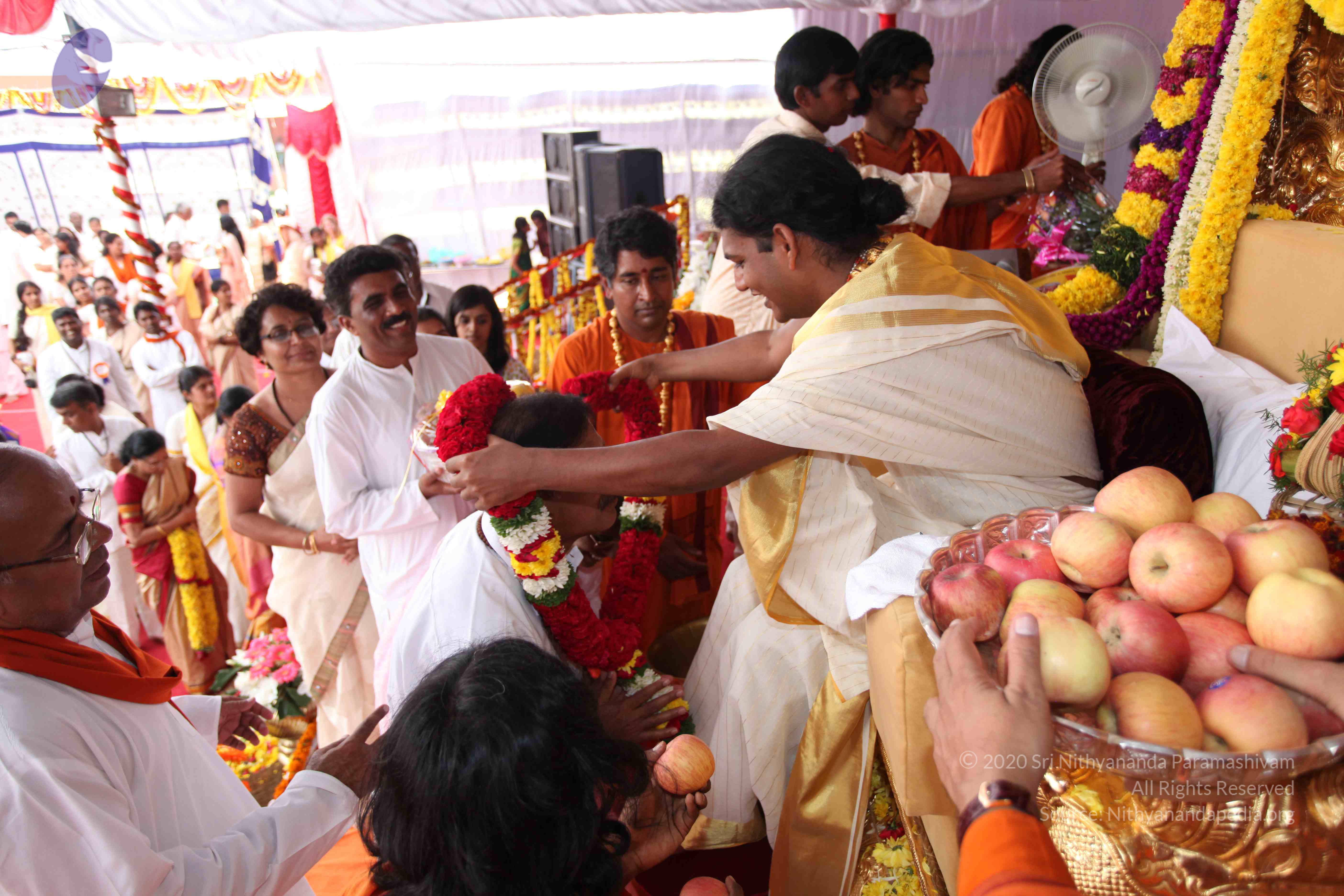 20100101_Photo_1020_IMG_5097_CMP_WM