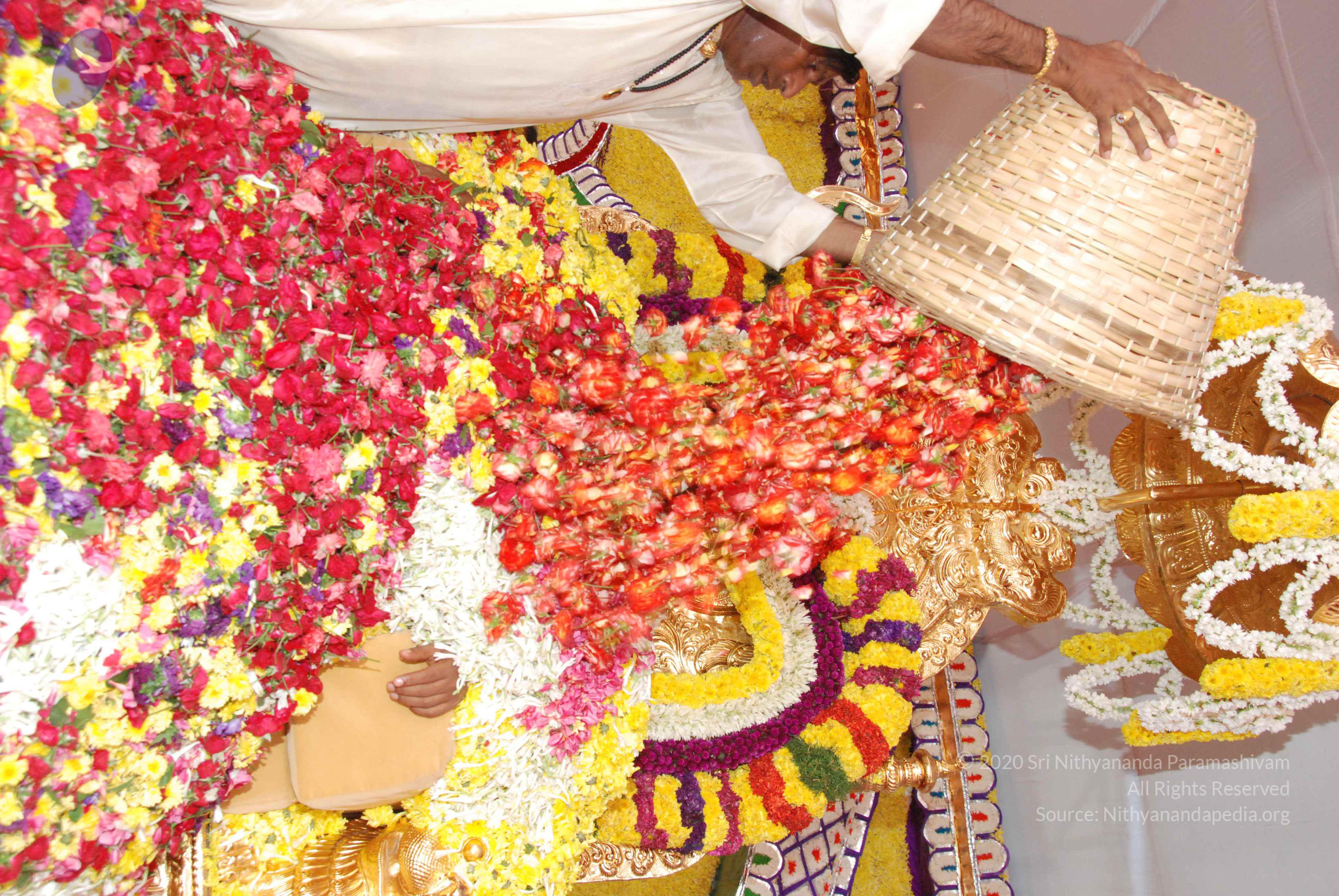 20100101_Photo_1024_DSC_2186_CMP_WM