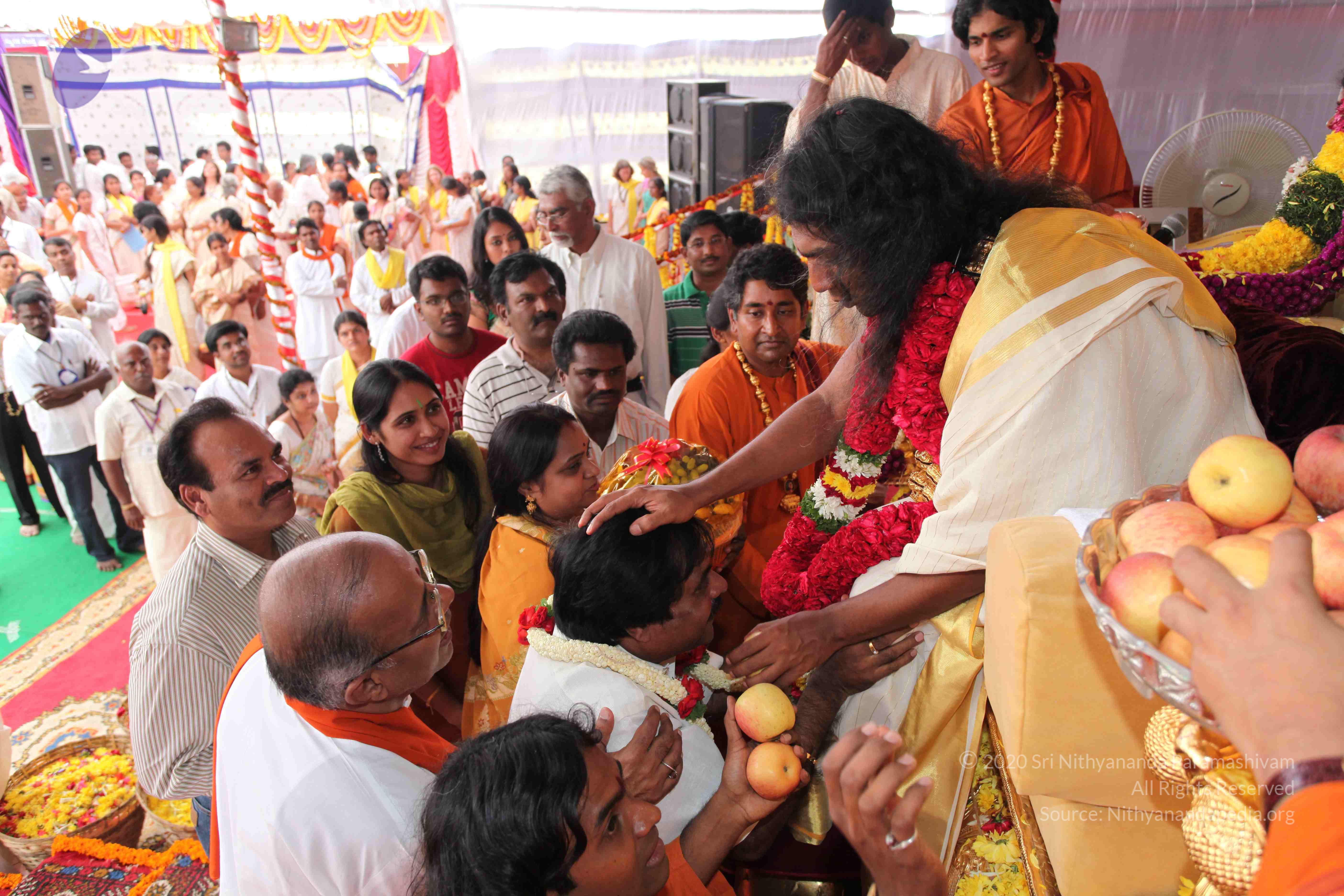 20100101_Photo_1033_IMG_5086_CMP_WM