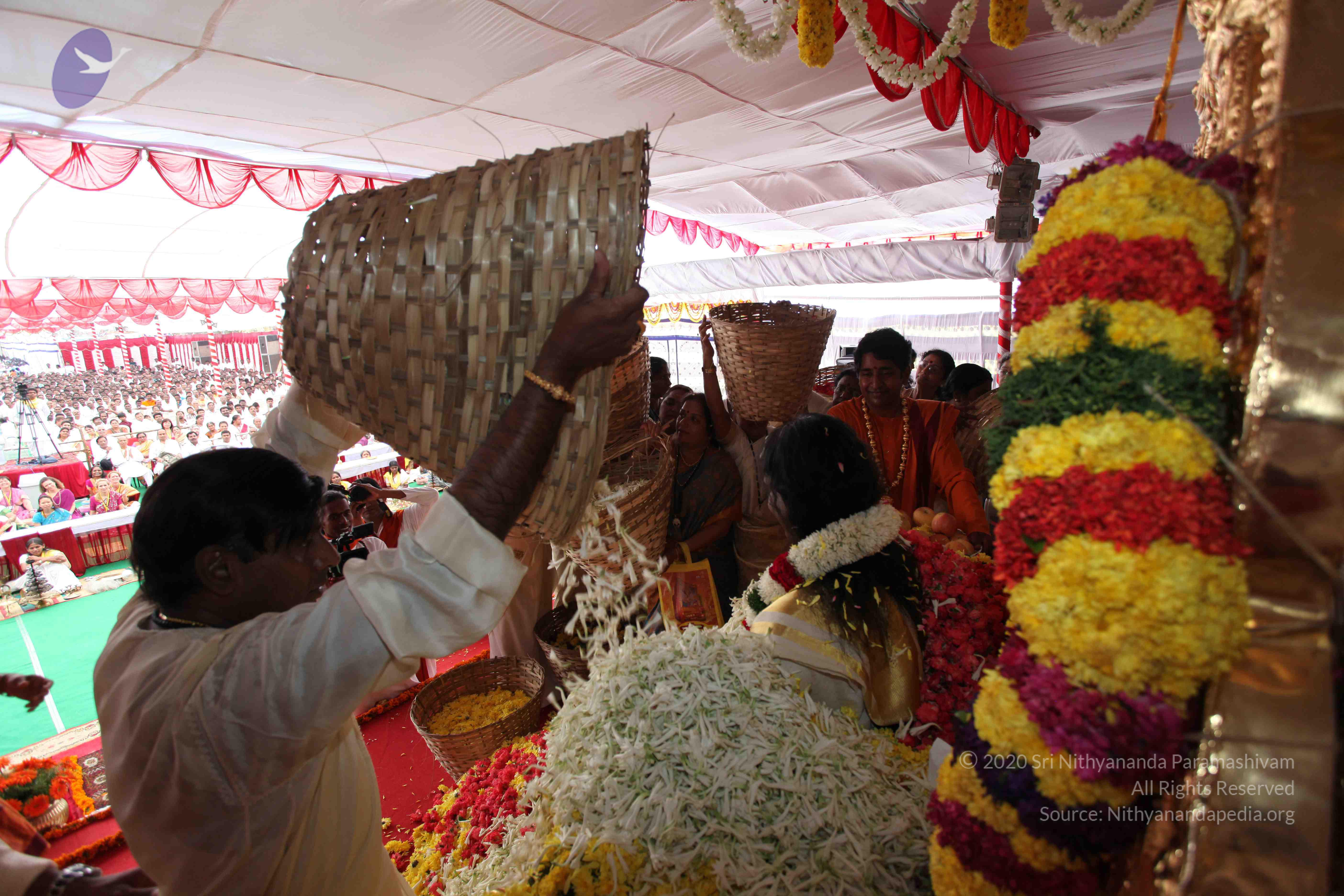 20100101_Photo_1040_IMG_5007_CMP_WM