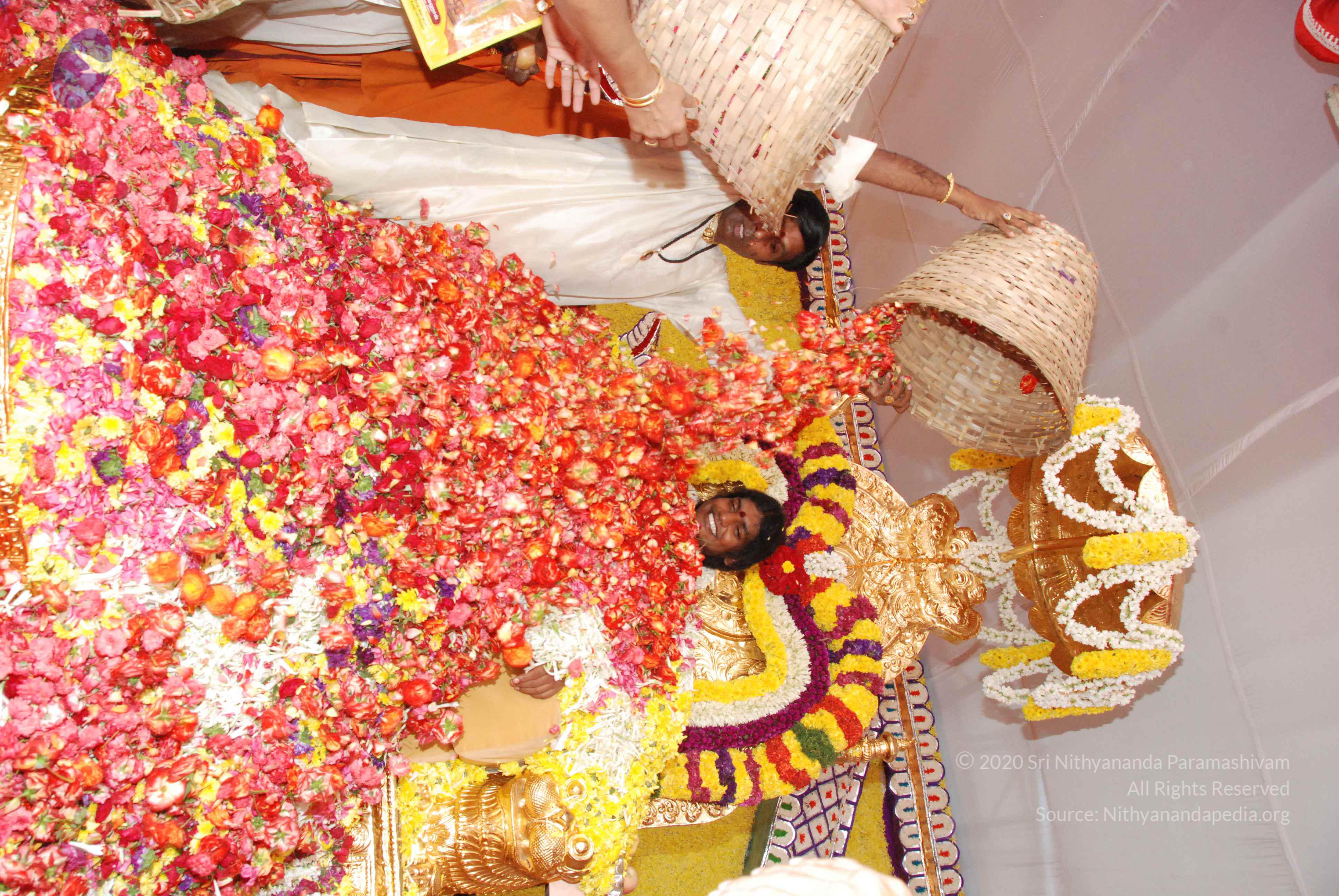 20100101_Photo_1062_DSC_2192_CMP_WM