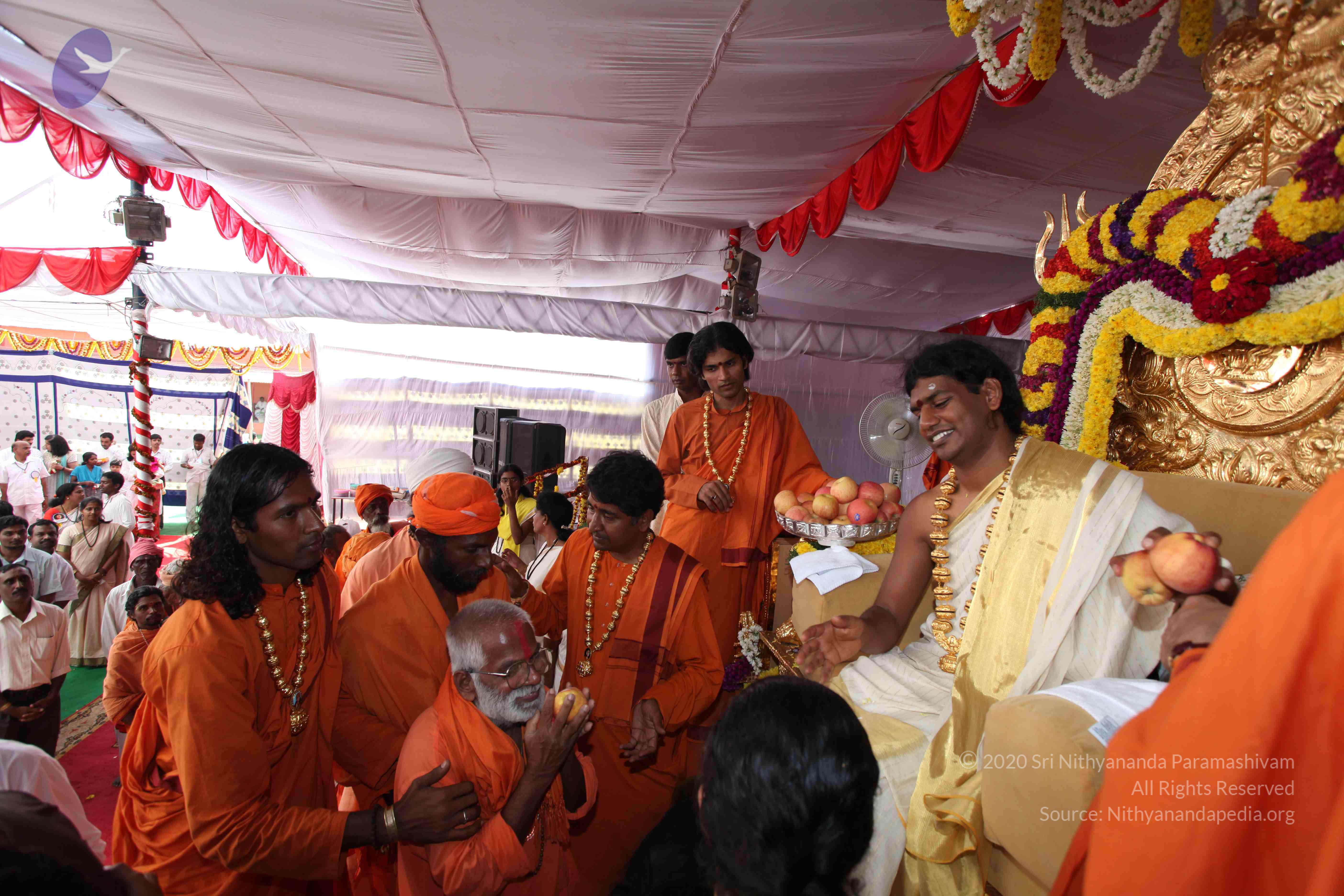 20100101_Photo_1069_IMG_5174_CMP_WM