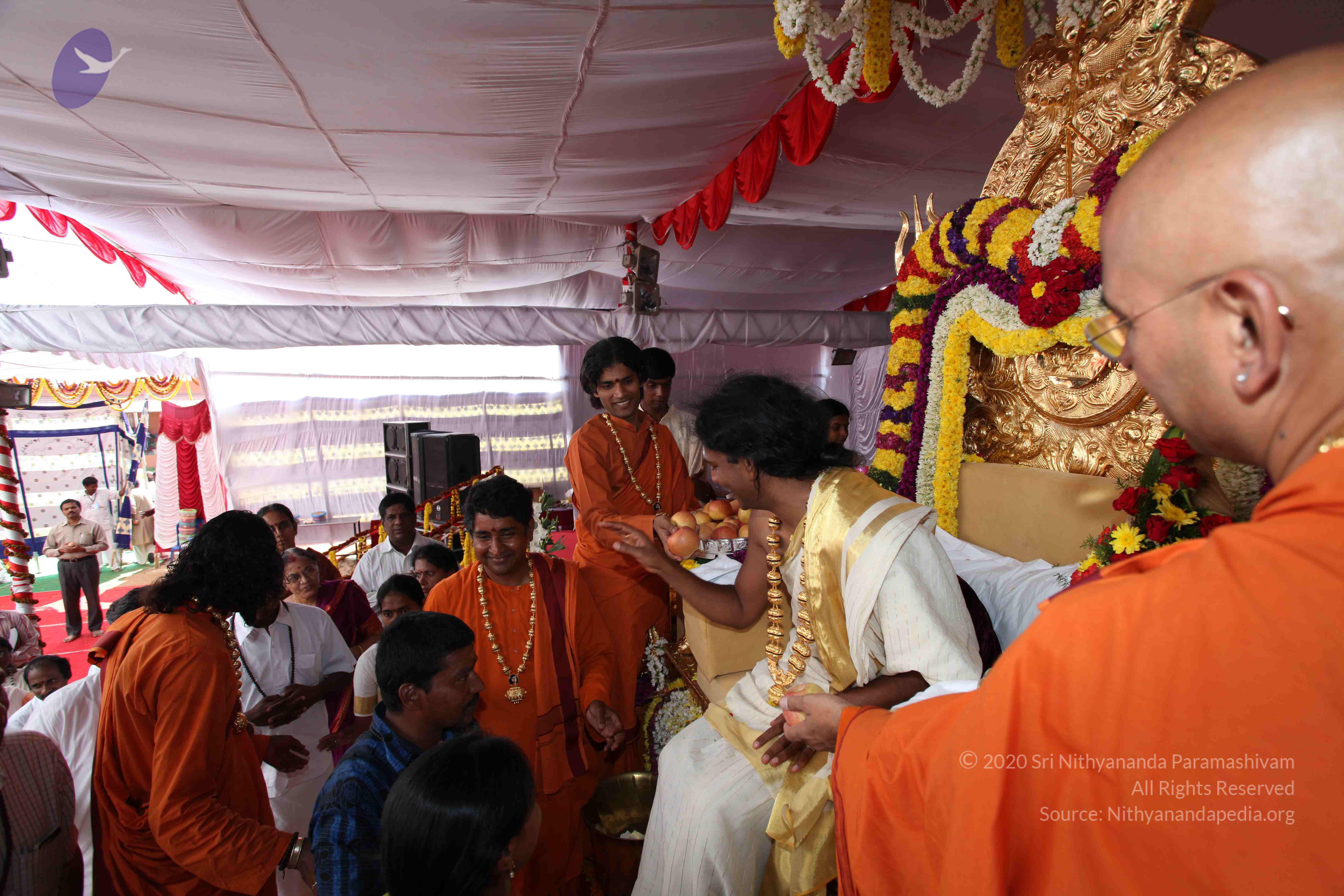 20100101_Photo_1081_IMG_5152_CMP_WM