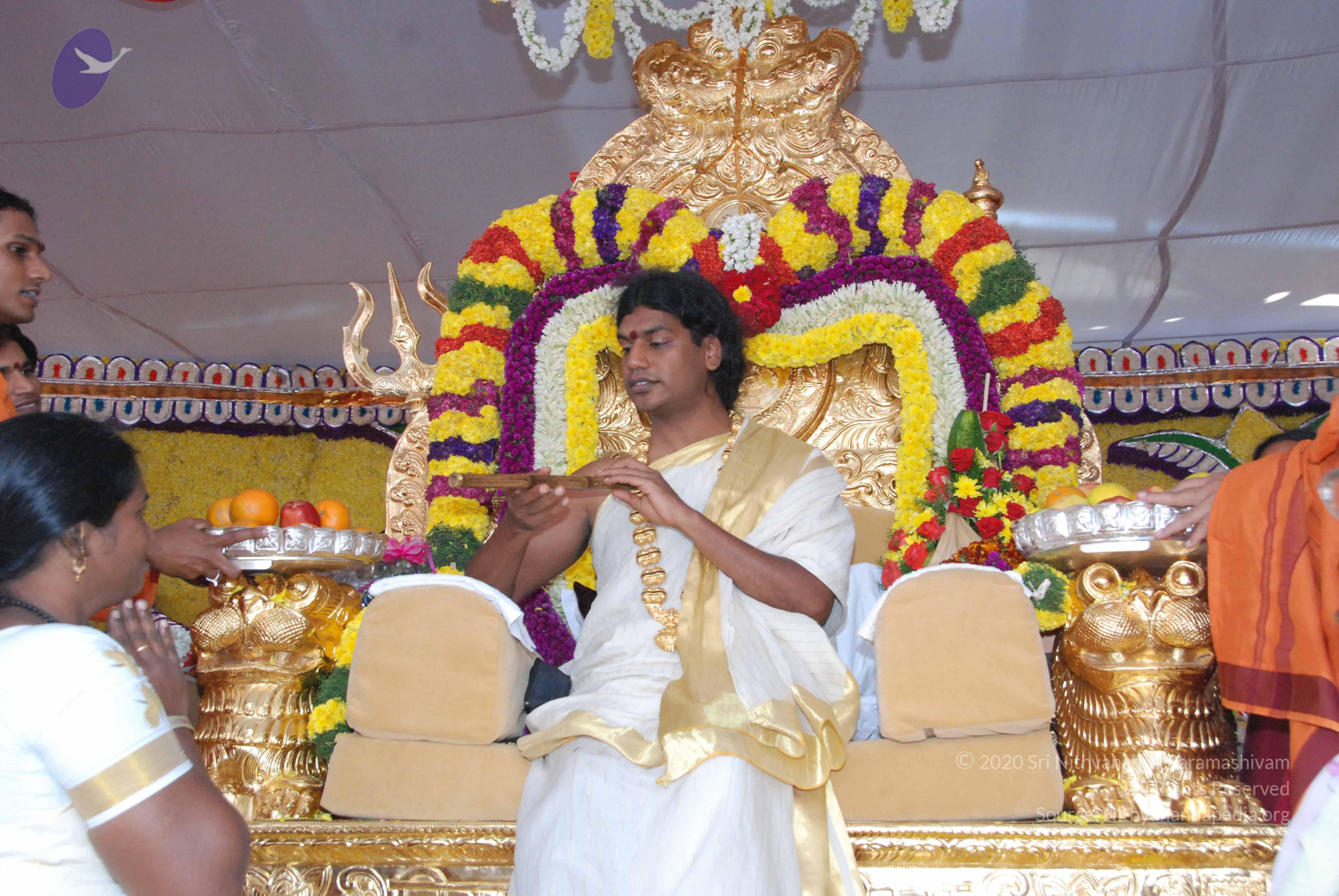 20100101_Photo_1098_DSC_2363_CMP_WM