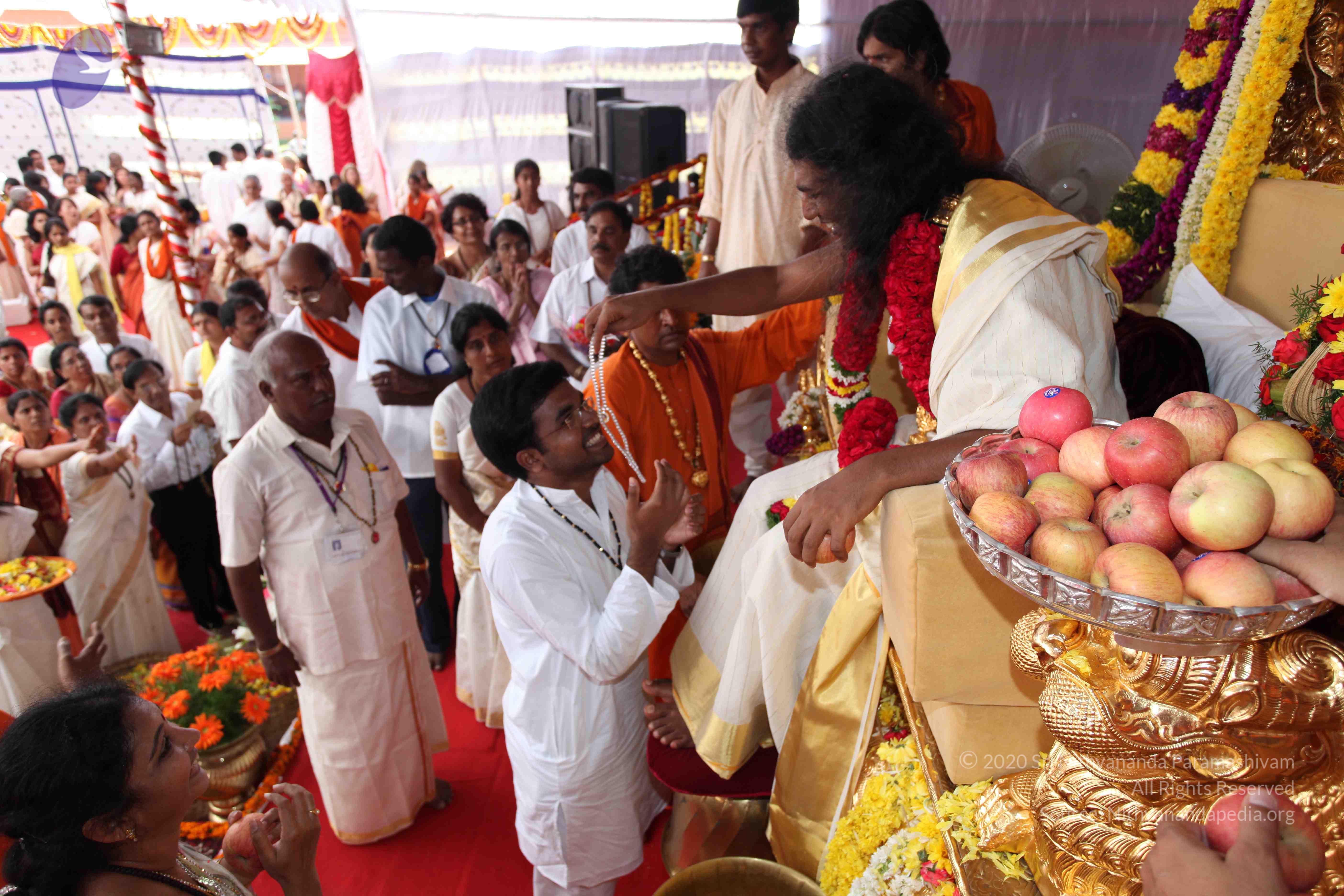 20100101_Photo_1101_IMG_5092_CMP_WM