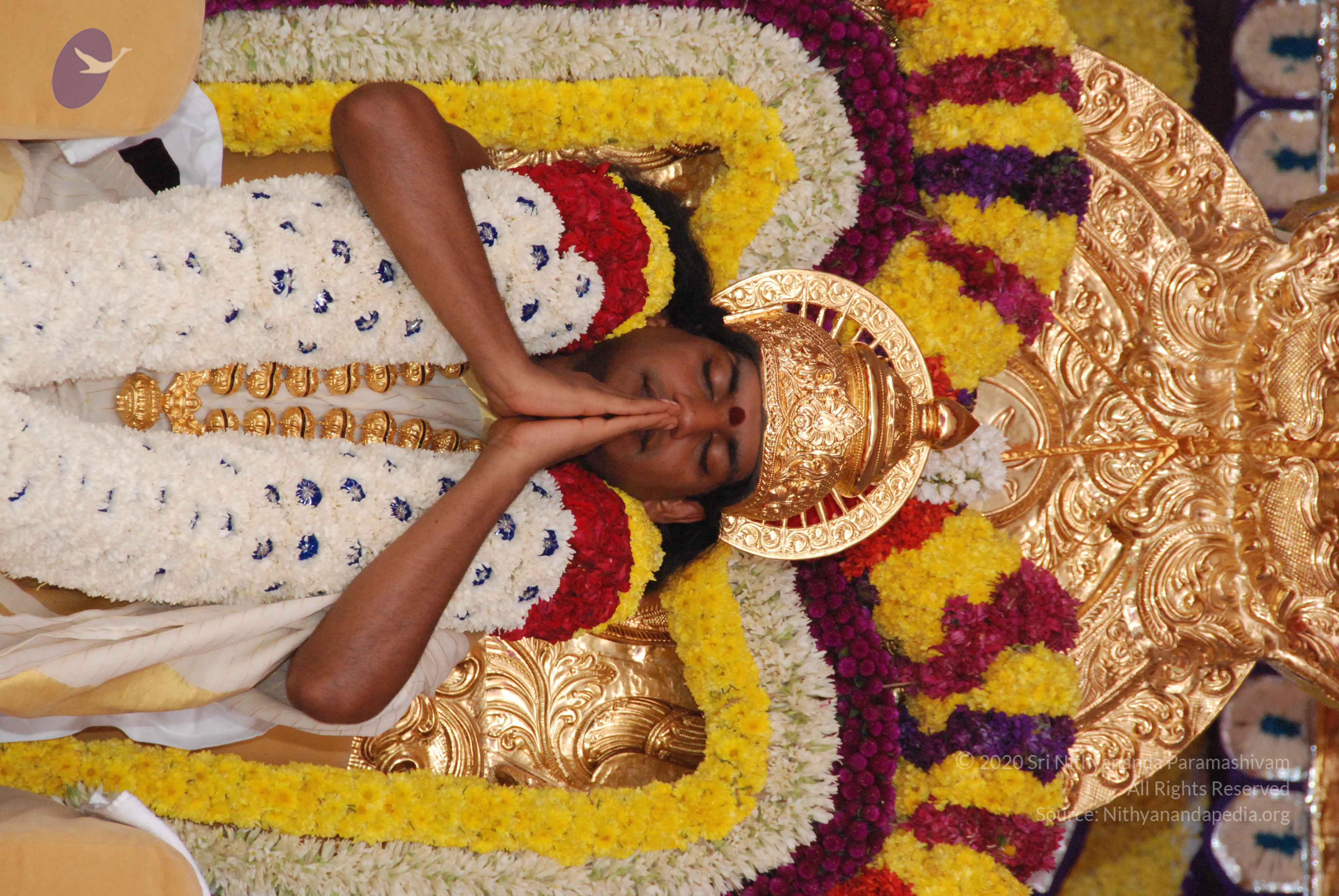 20100101_Photo_1105_DSC_1951_CMP_WM