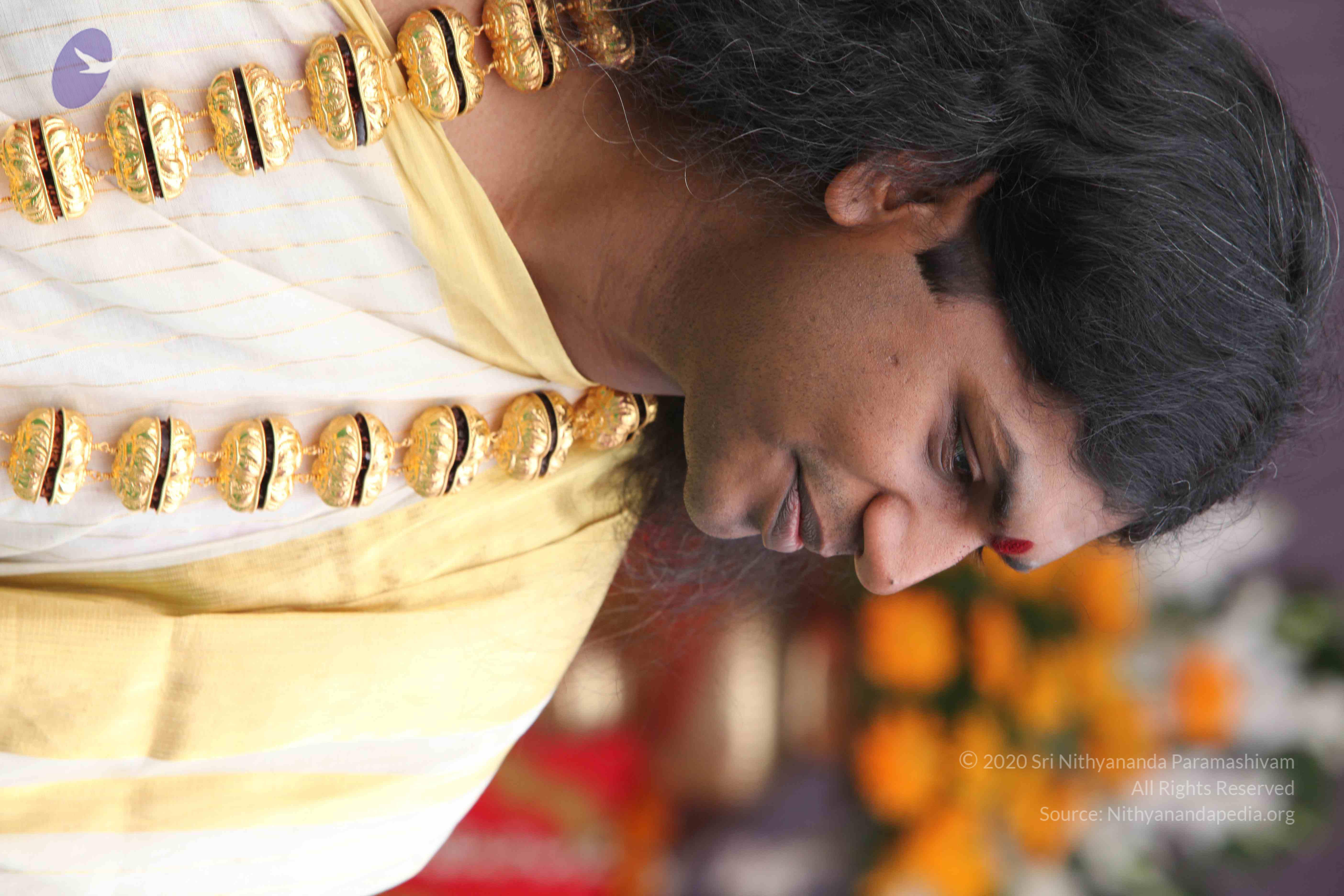 20100101_Photo_1113_IMG_4769_CMP_WM