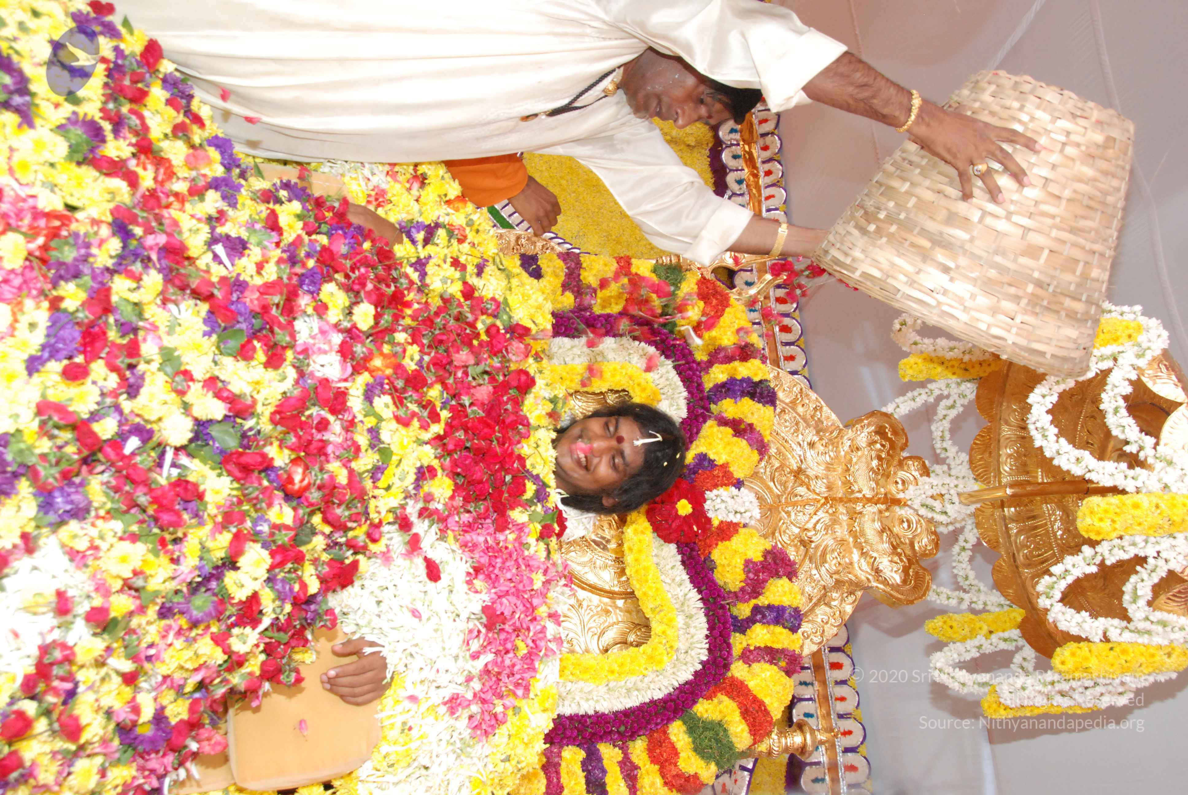 20100101_Photo_1116_DSC_2184_CMP_WM