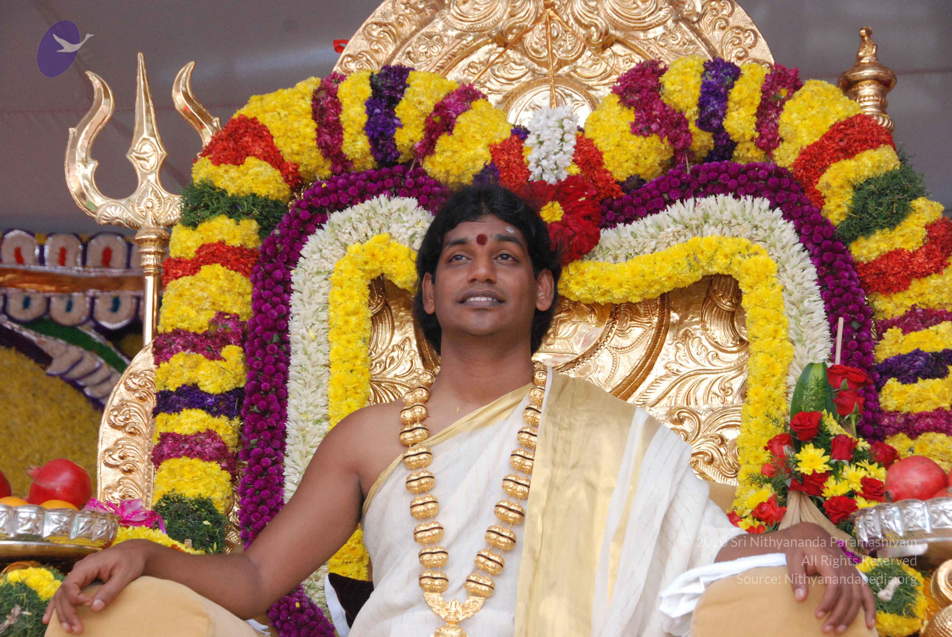 20100101_Photo_1134_DSC_2293_CMP_WM