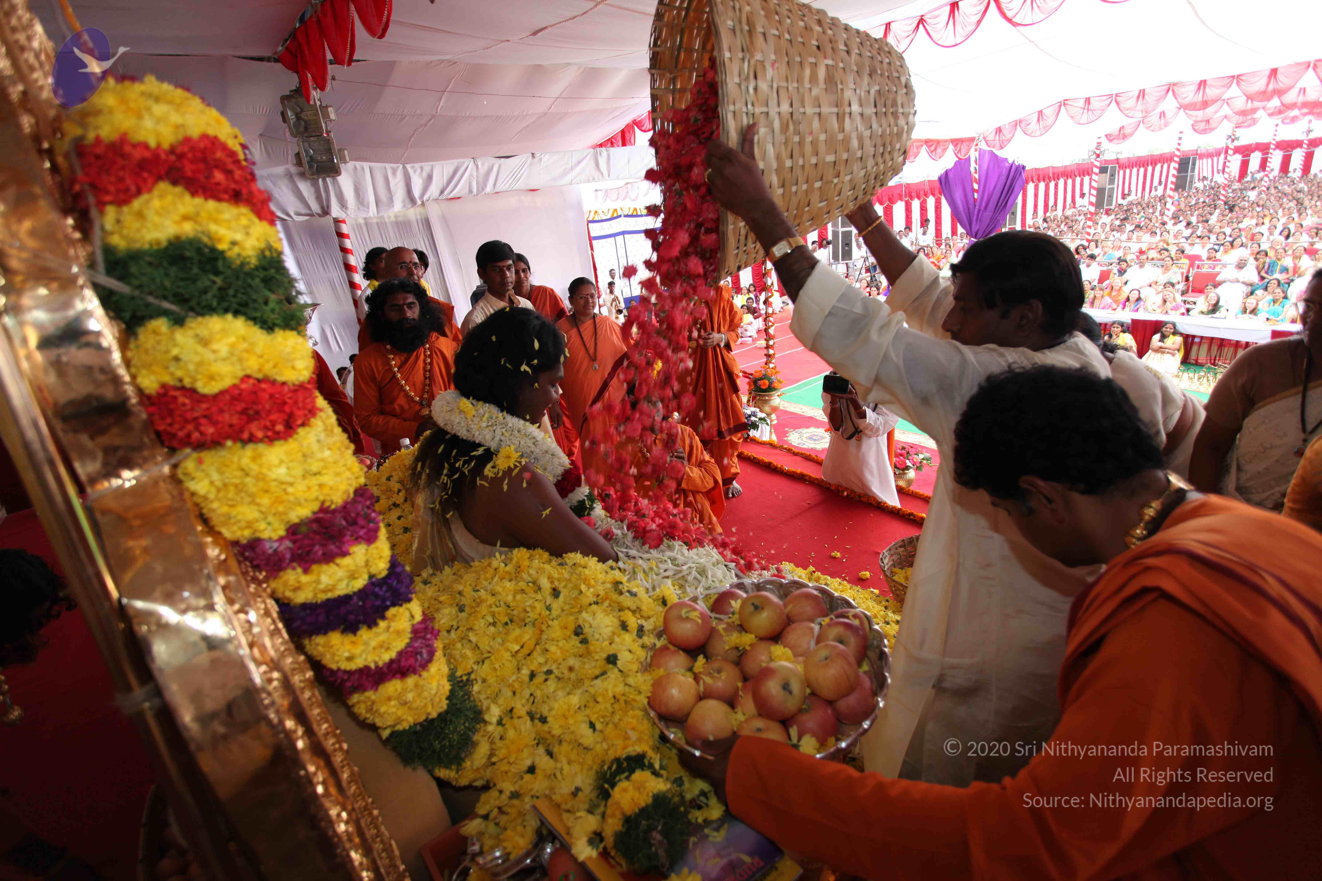 20100101_Photo_1136_IMG_5005_CMP_WM