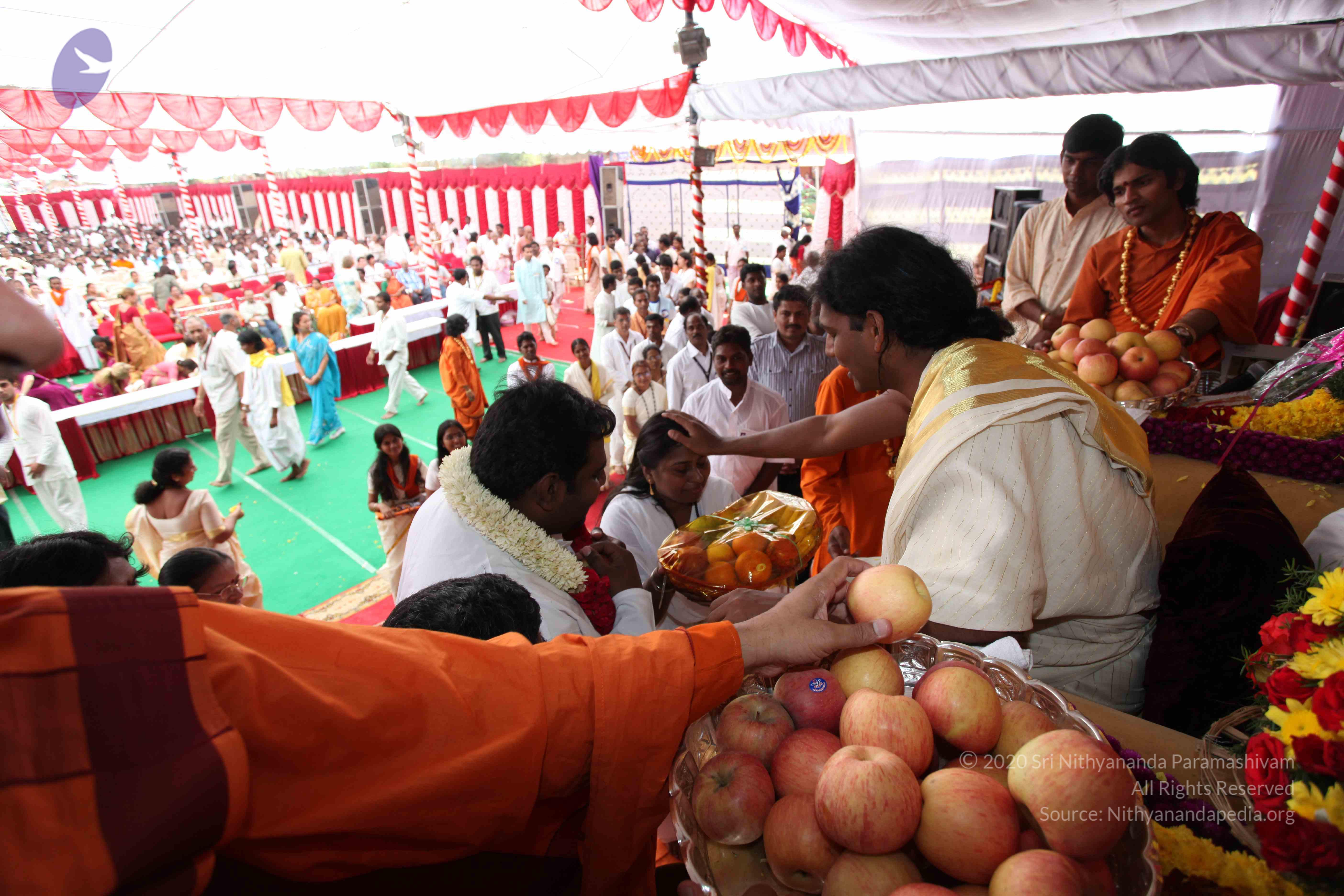 20100101_Photo_1139_IMG_5111_CMP_WM