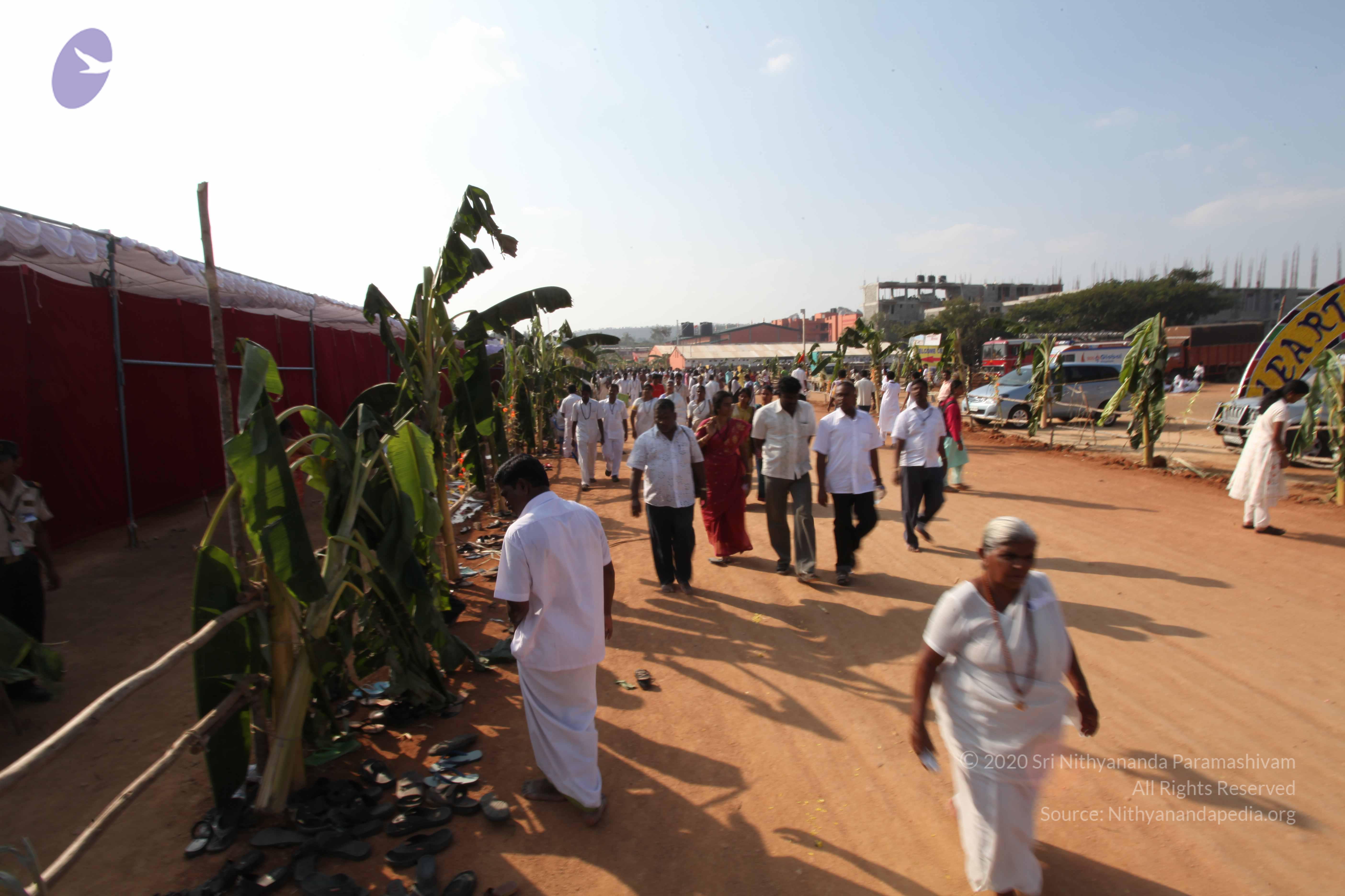 20100101_Photo_1157_IMG_5206_CMP_WM