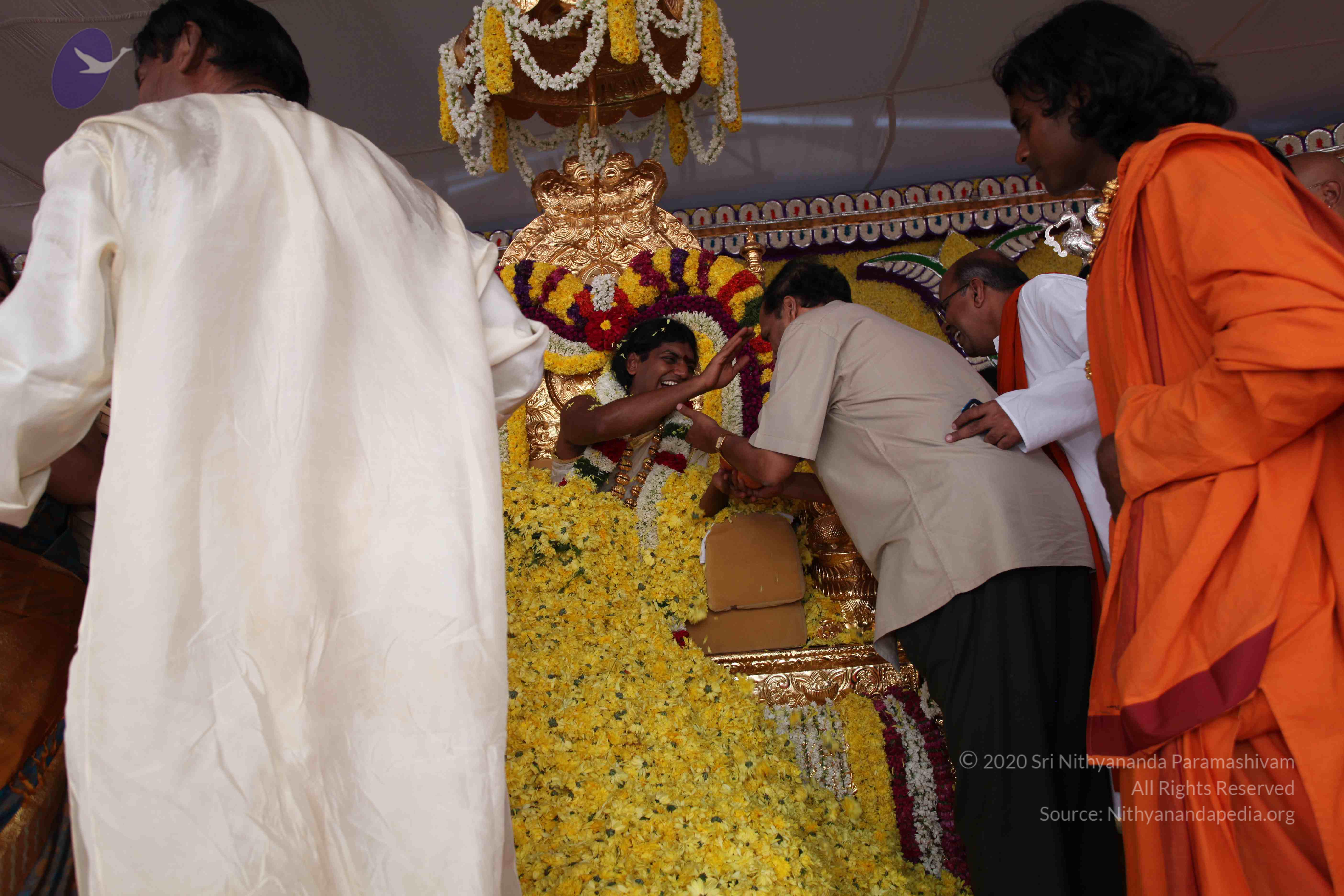 20100101_Photo_1169_IMG_5000_CMP_WM