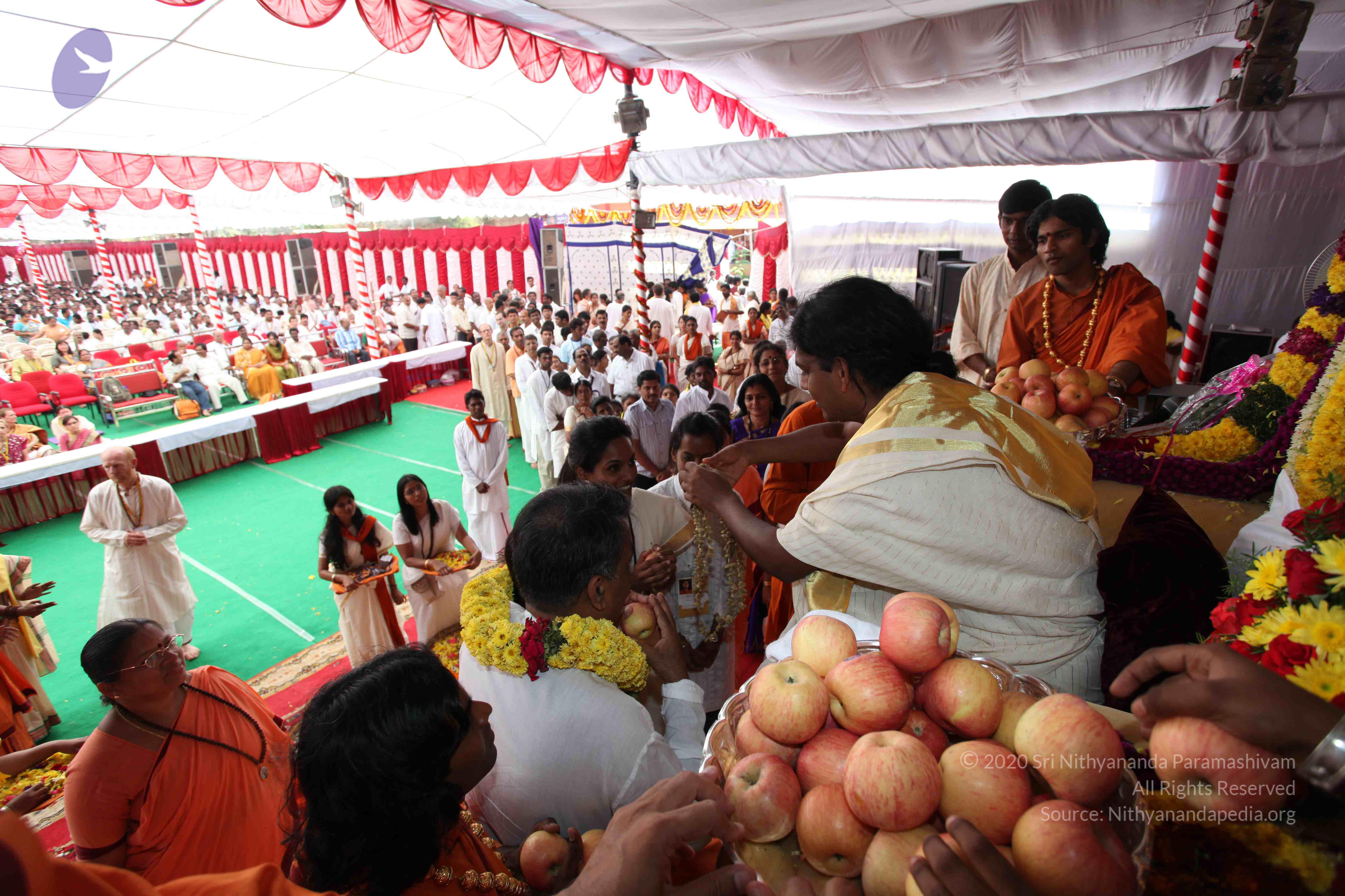 20100101_Photo_1186_IMG_5108_CMP_WM