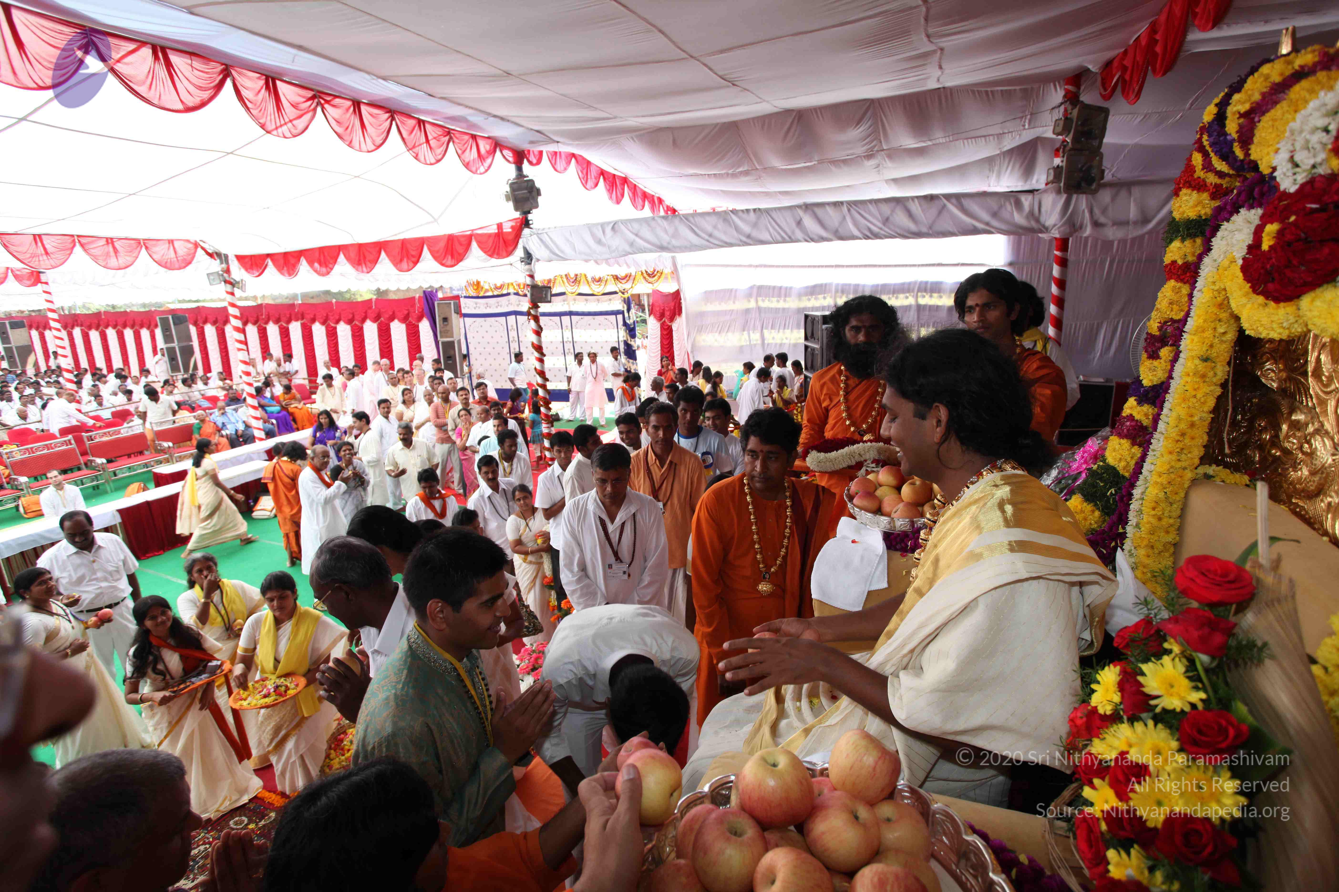 20100101_Photo_1192_IMG_5119_CMP_WM