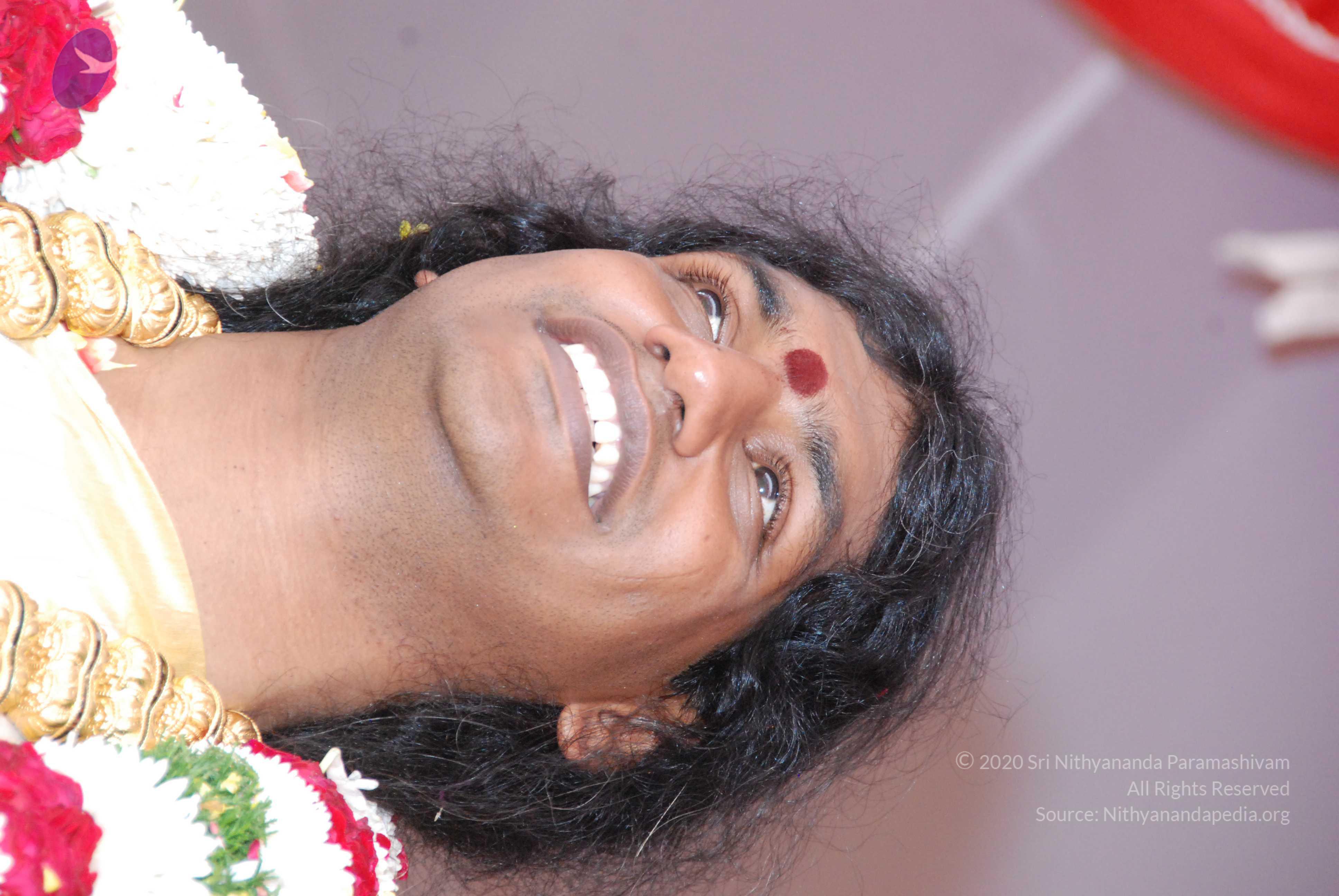 20100101_Photo_1195_DSC_2220_CMP_WM