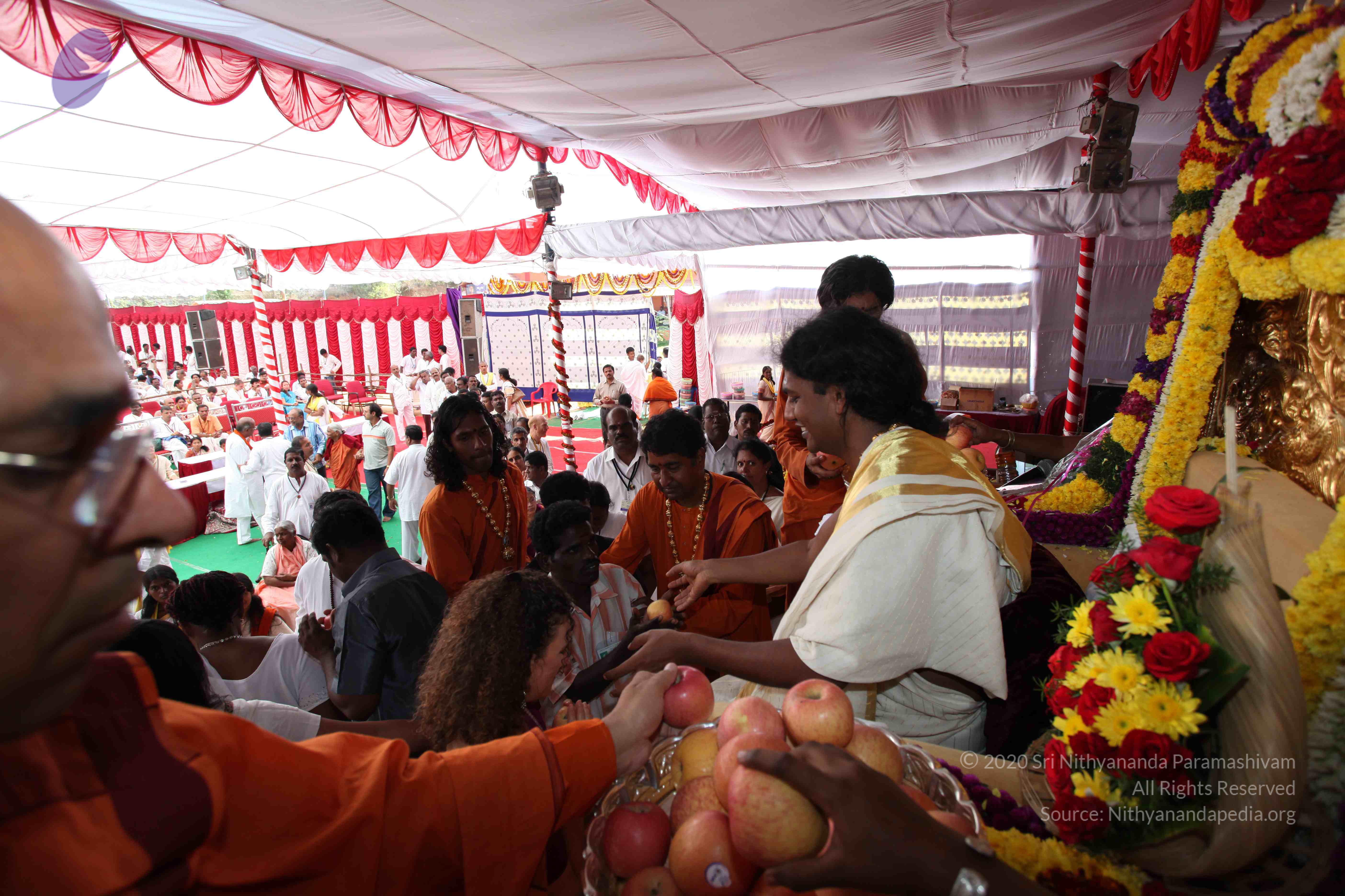 20100101_Photo_1205_IMG_5150_CMP_WM