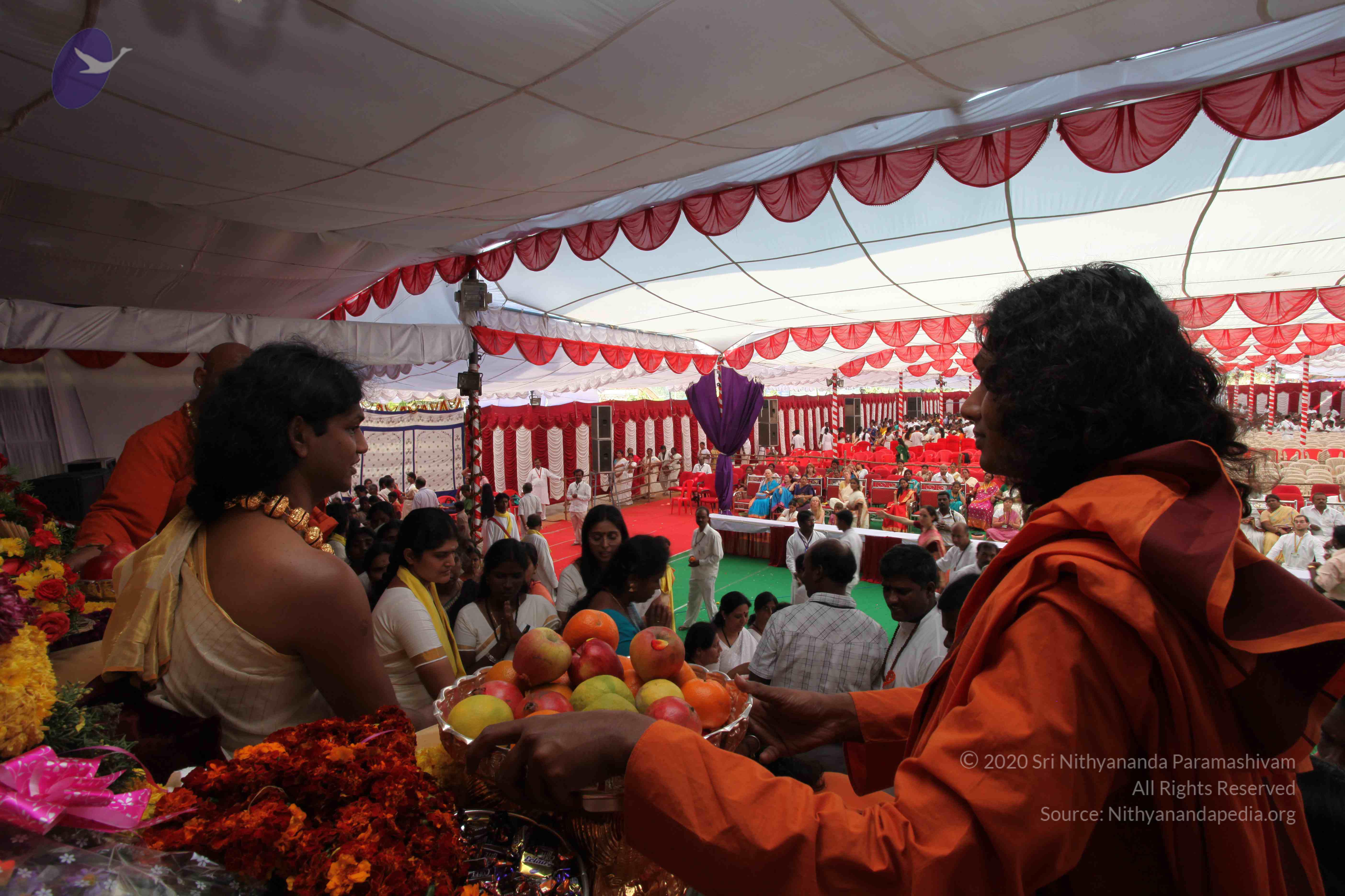 20100101_Photo_1216_IMG_5200_CMP_WM