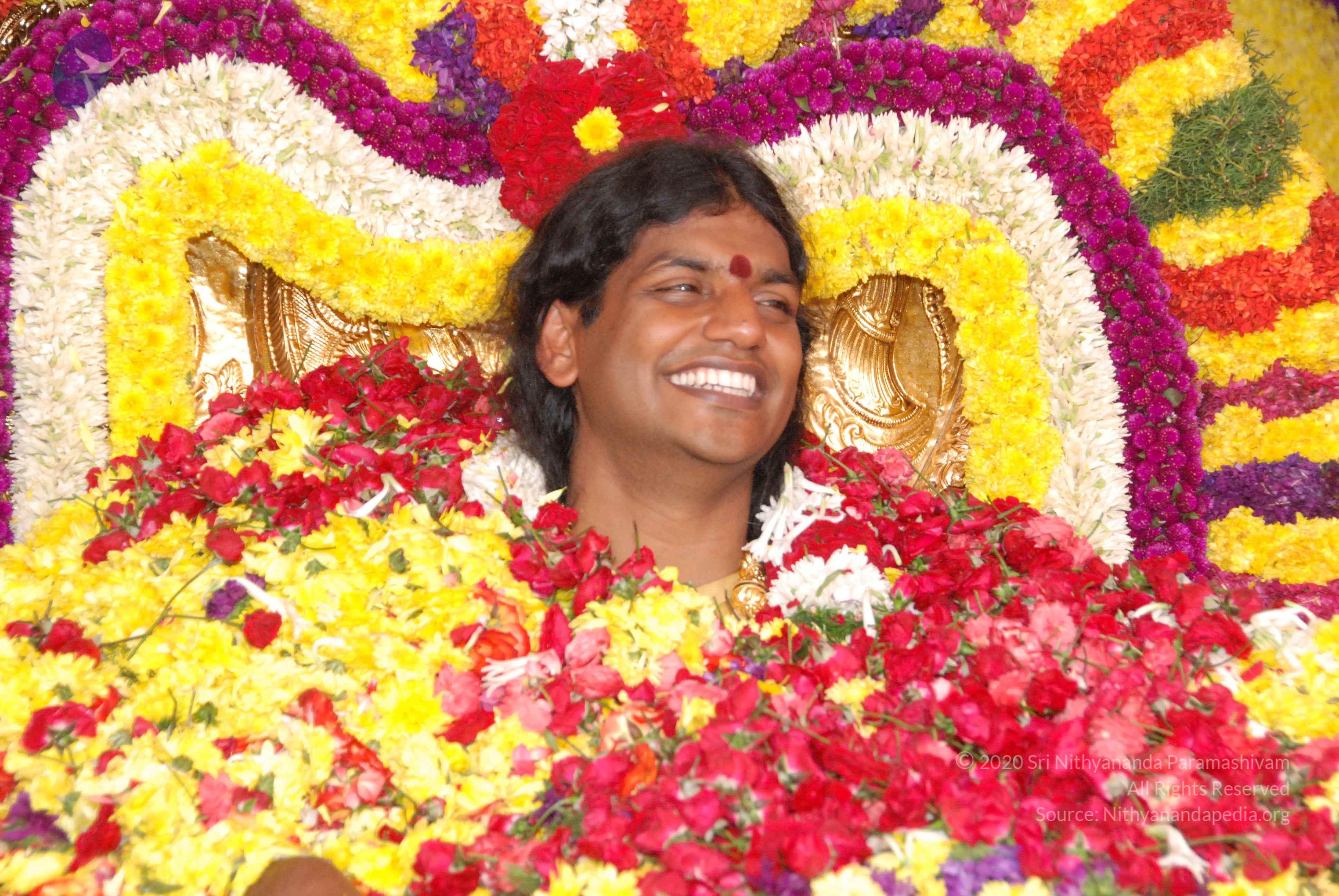 20100101_Photo_1224_DSC_2205_CMP_WM