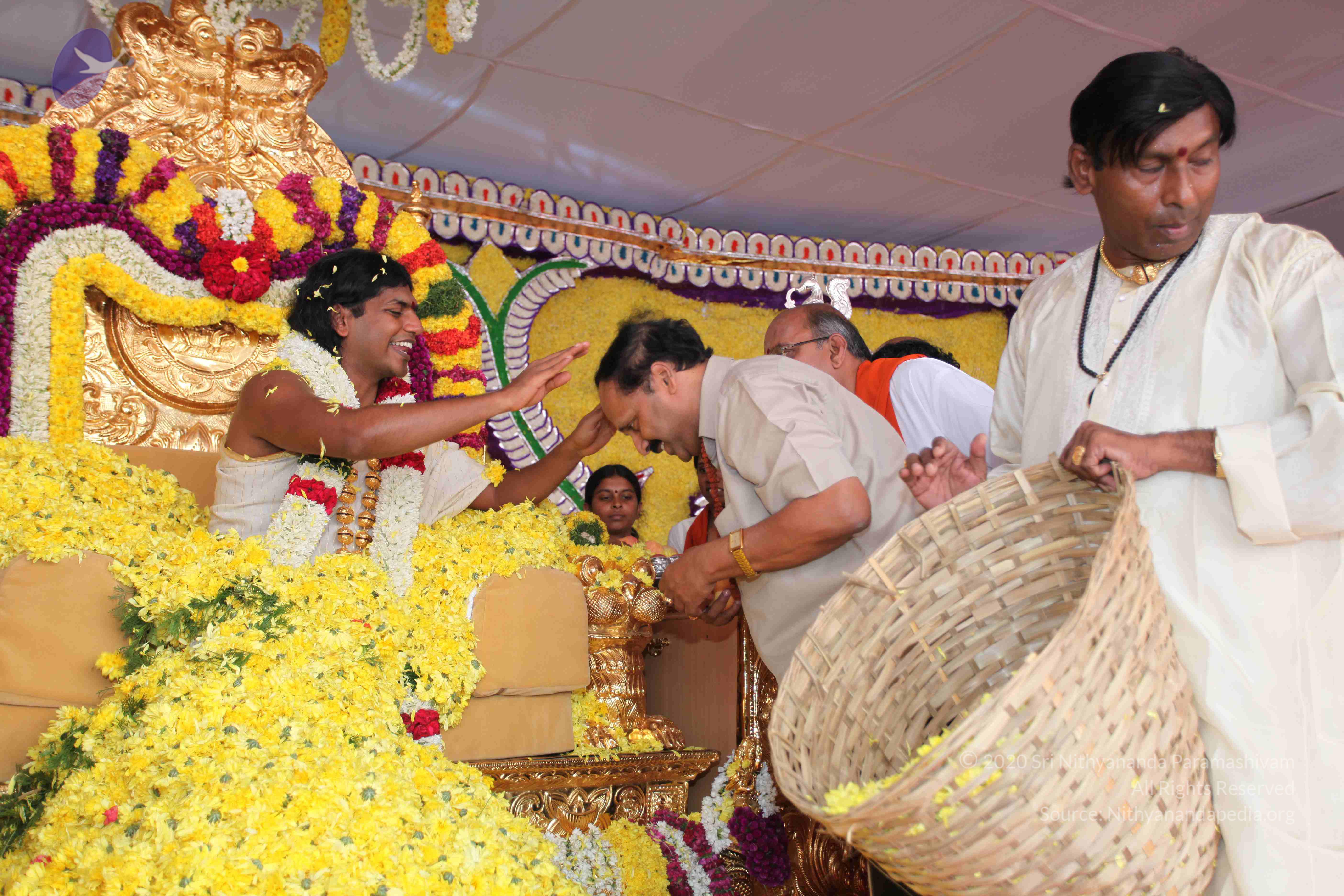 20100101_Photo_1227_IMG_5003_CMP_WM