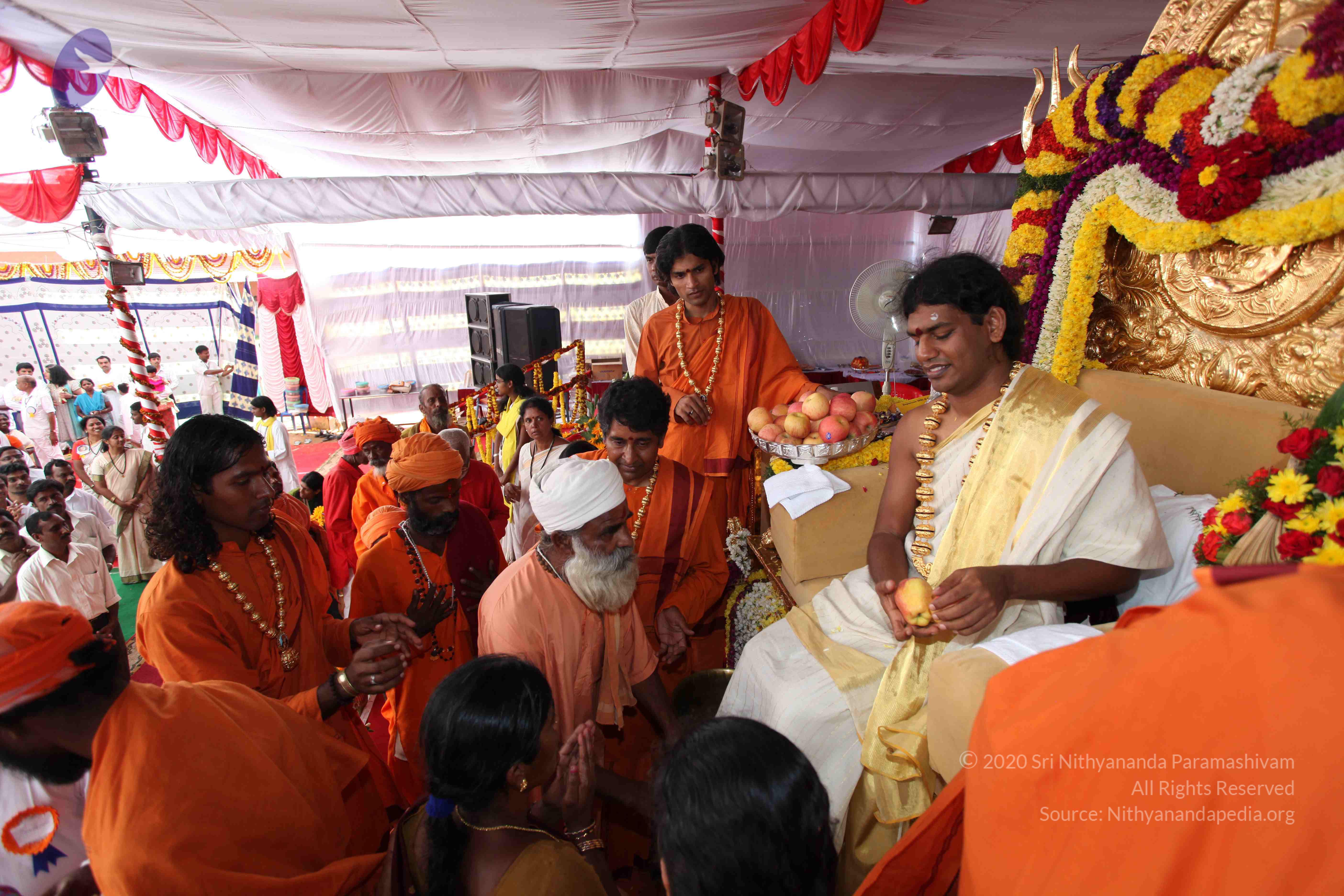 20100101_Photo_1231_IMG_5175_CMP_WM