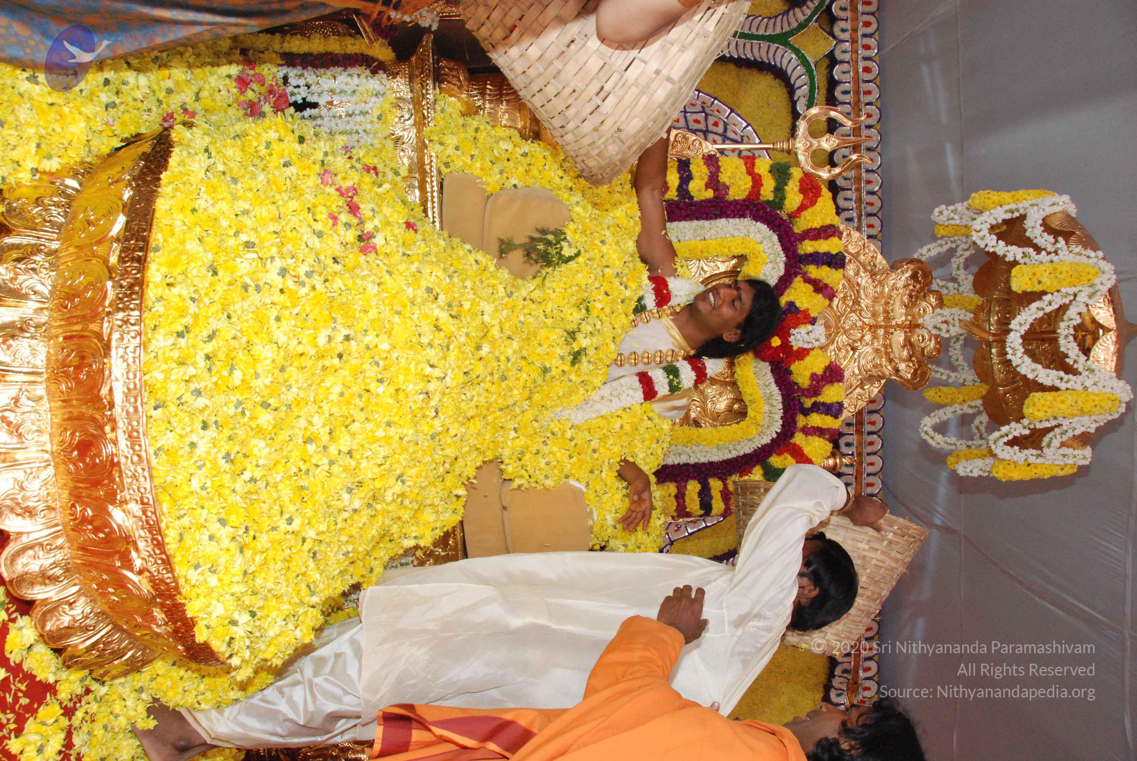 20100101_Photo_1239_DSC_2156_CMP_WM