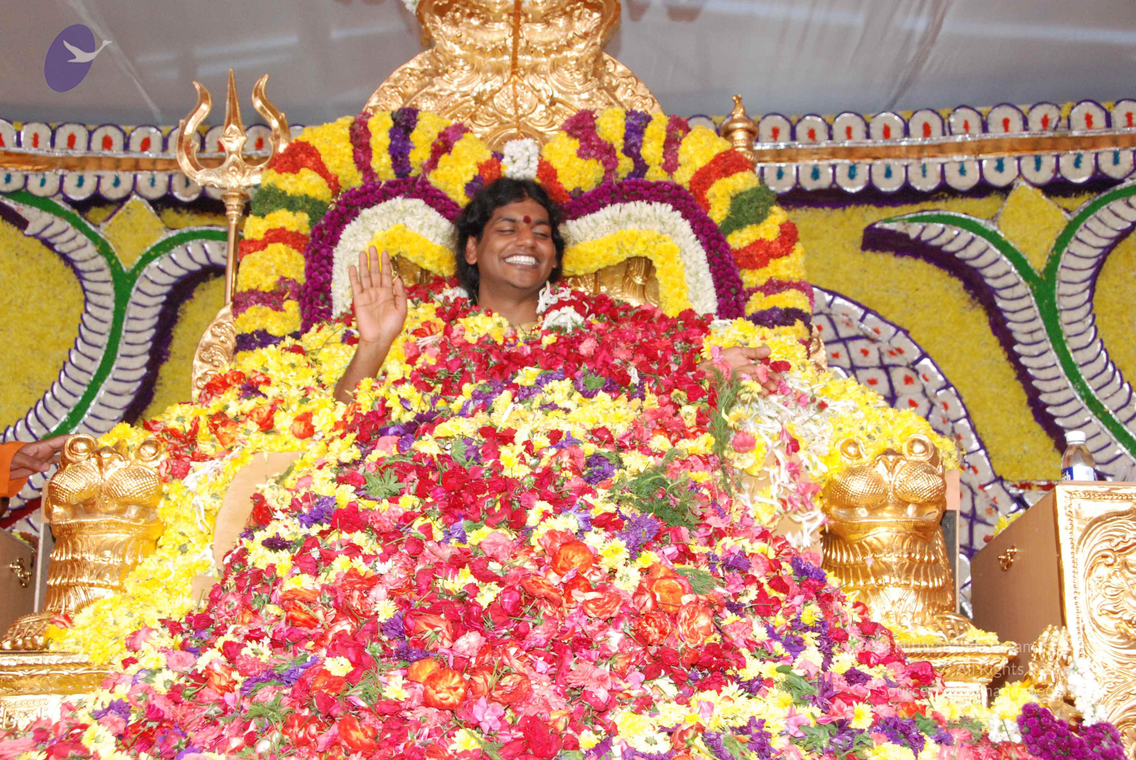 20100101_Photo_1242_DSC_2208_CMP_WM