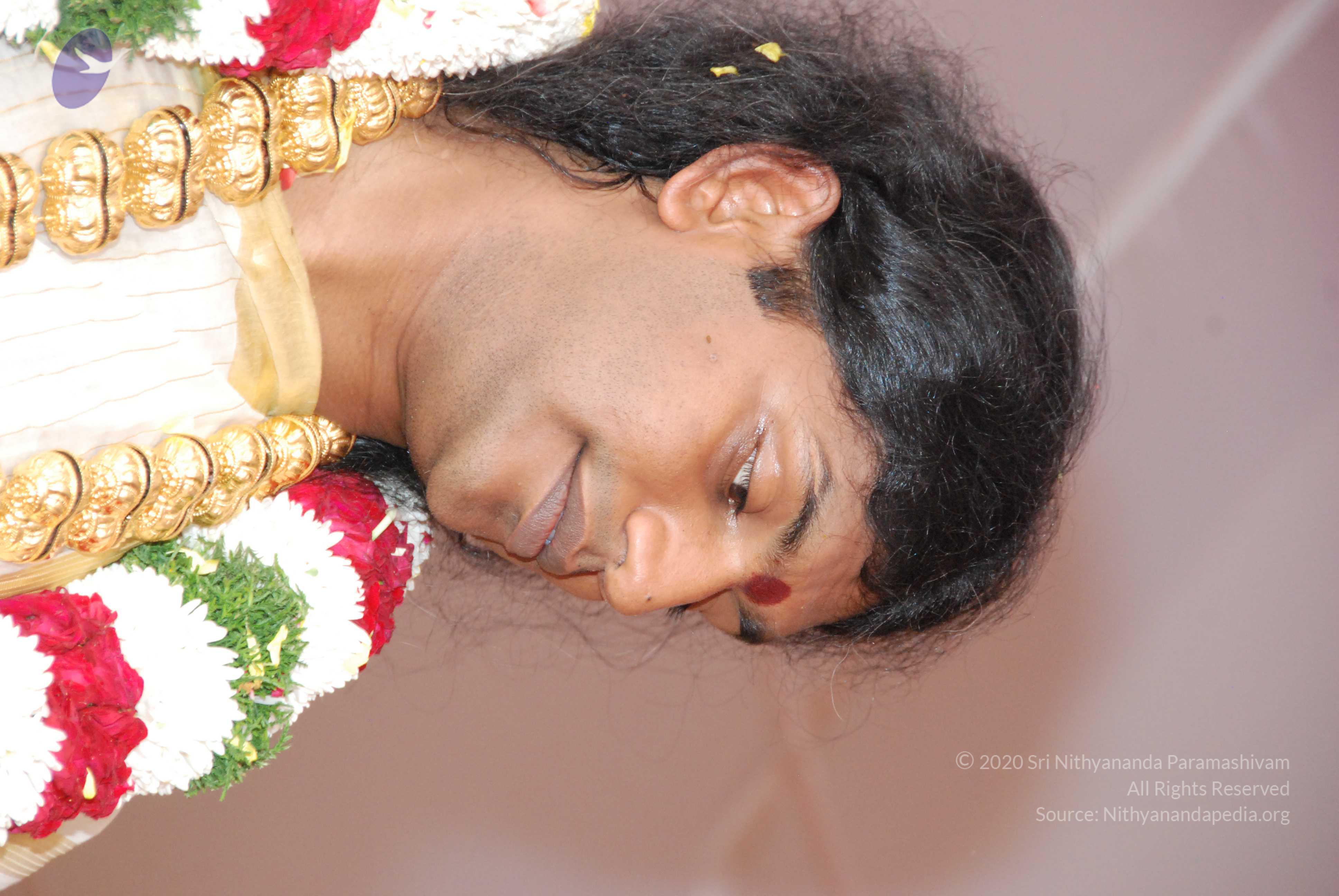 20100101_Photo_1256_DSC_2223_CMP_WM