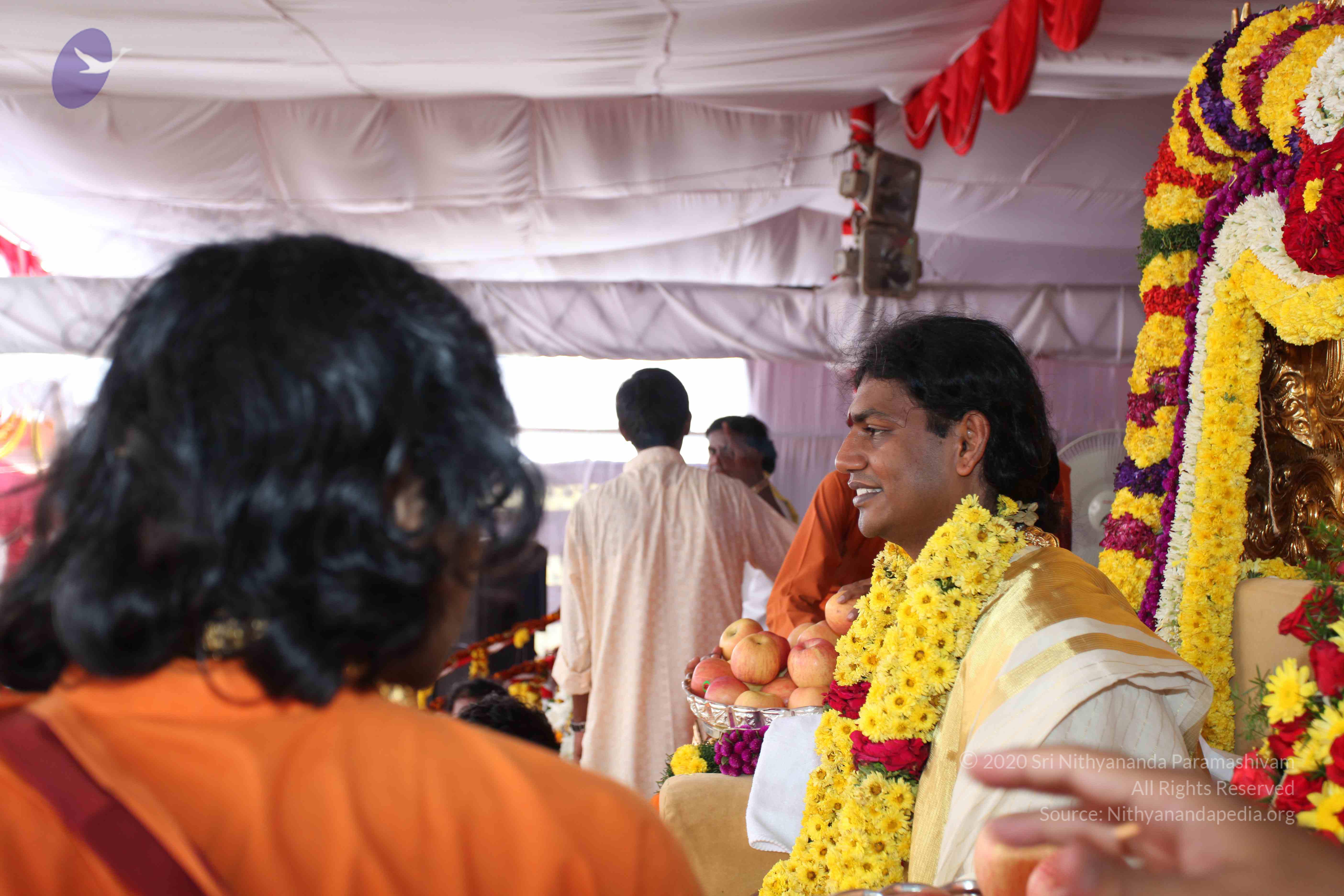 20100101_Photo_1274_IMG_5103_CMP_WM