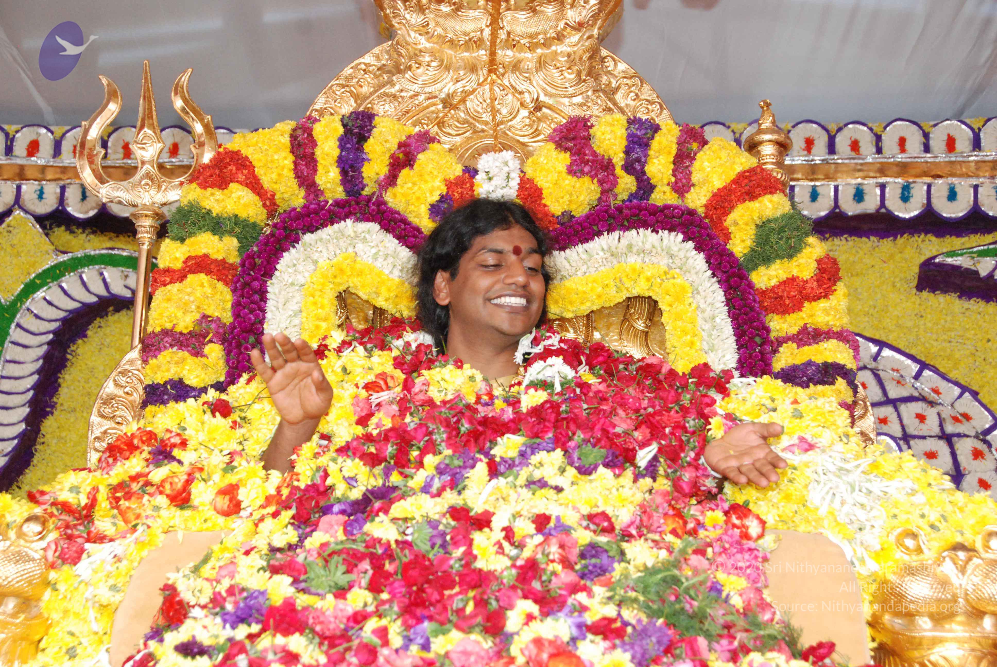 20100101_Photo_1292_DSC_2211_CMP_WM