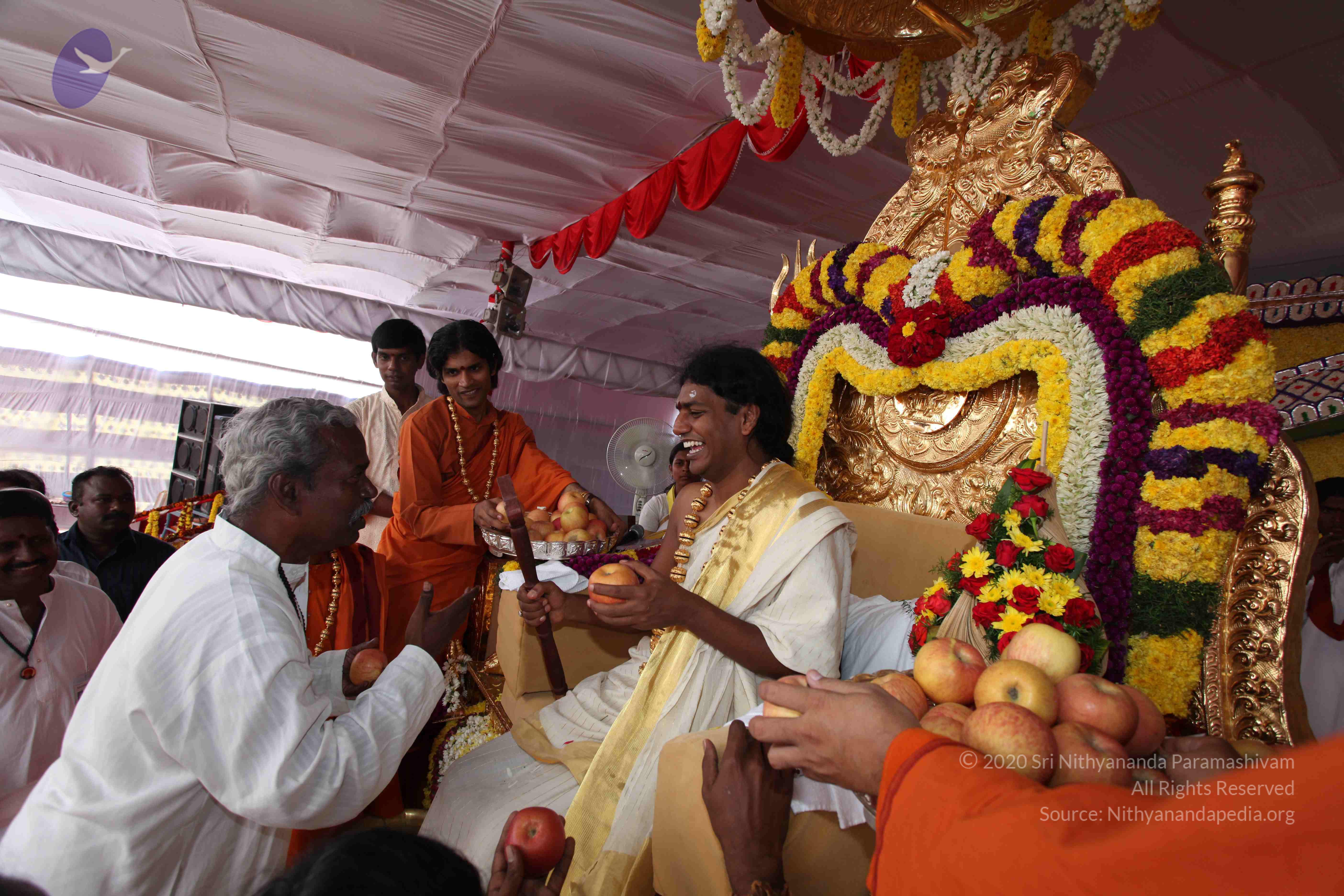 20100101_Photo_1301_IMG_5139_CMP_WM