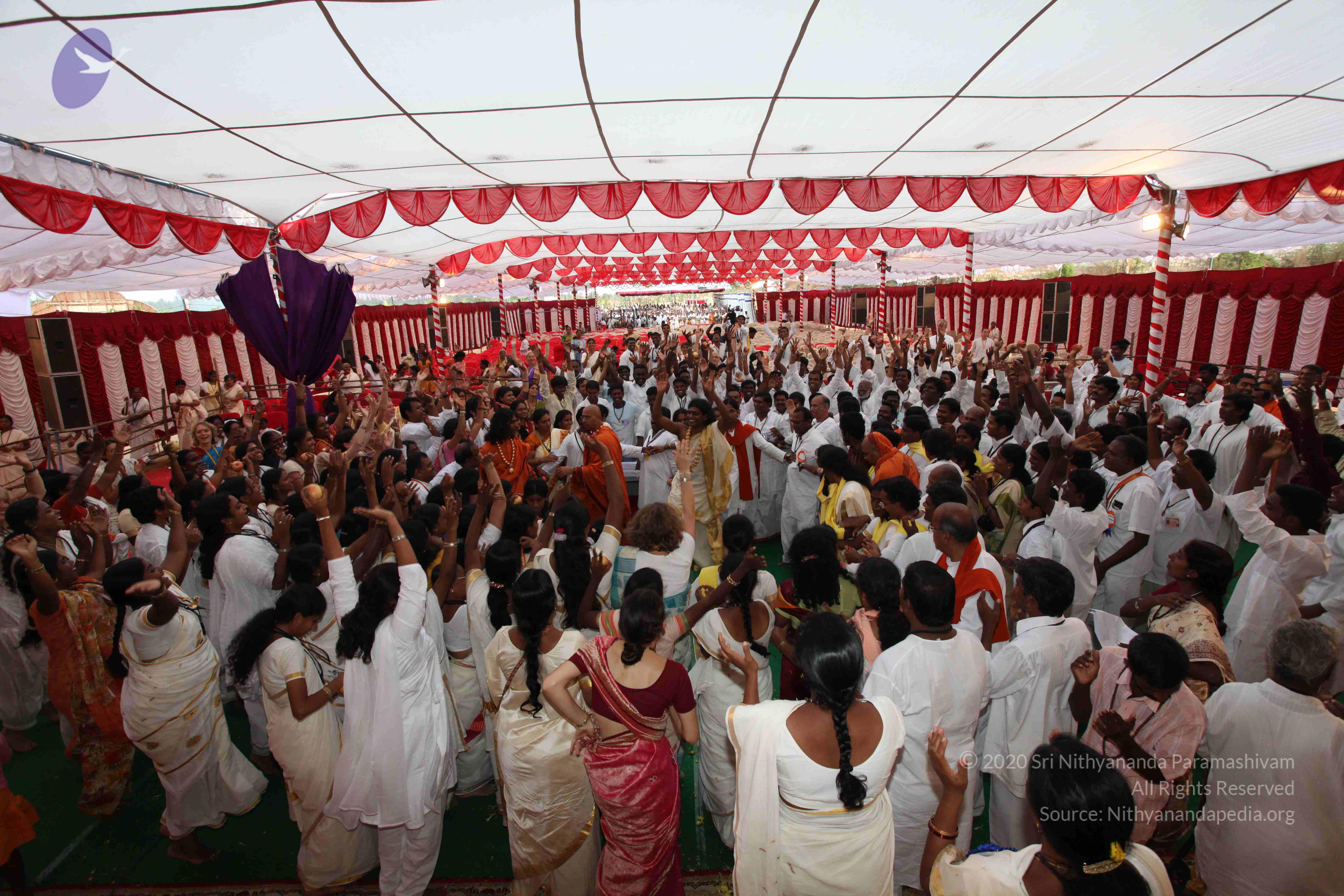 20100101_Photo_1302_IMG_5250_CMP_WM