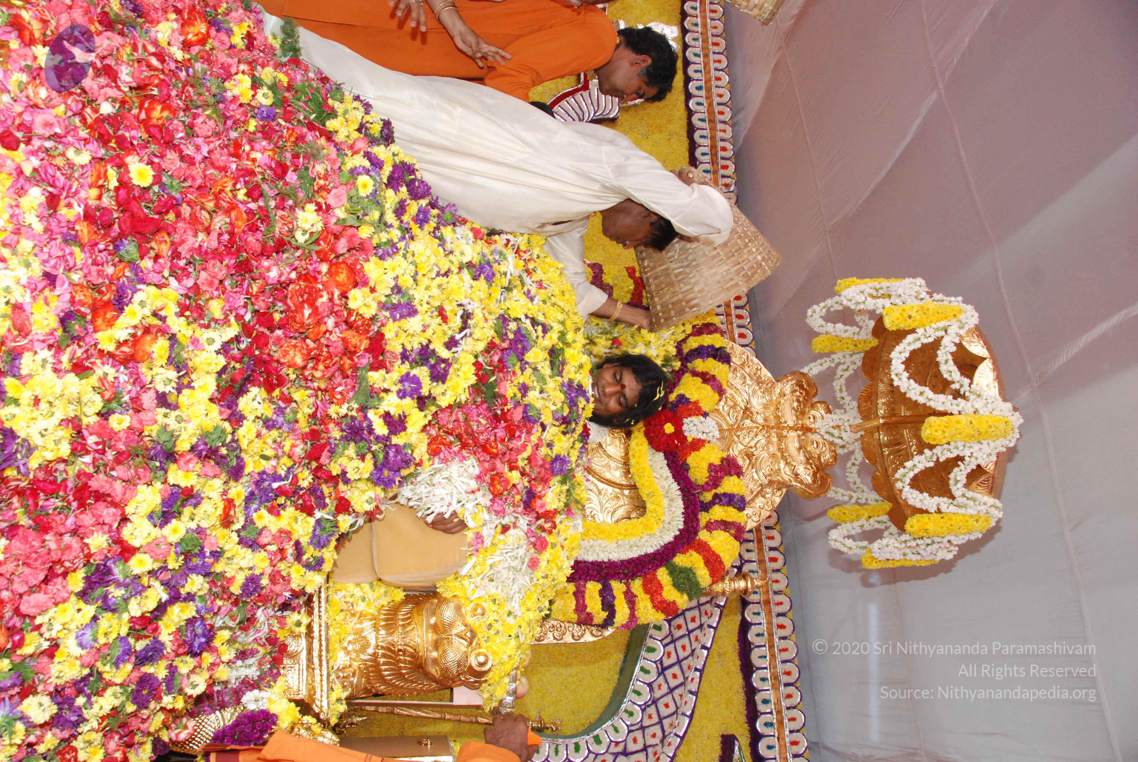 20100101_Photo_1303_DSC_2196_CMP_WM