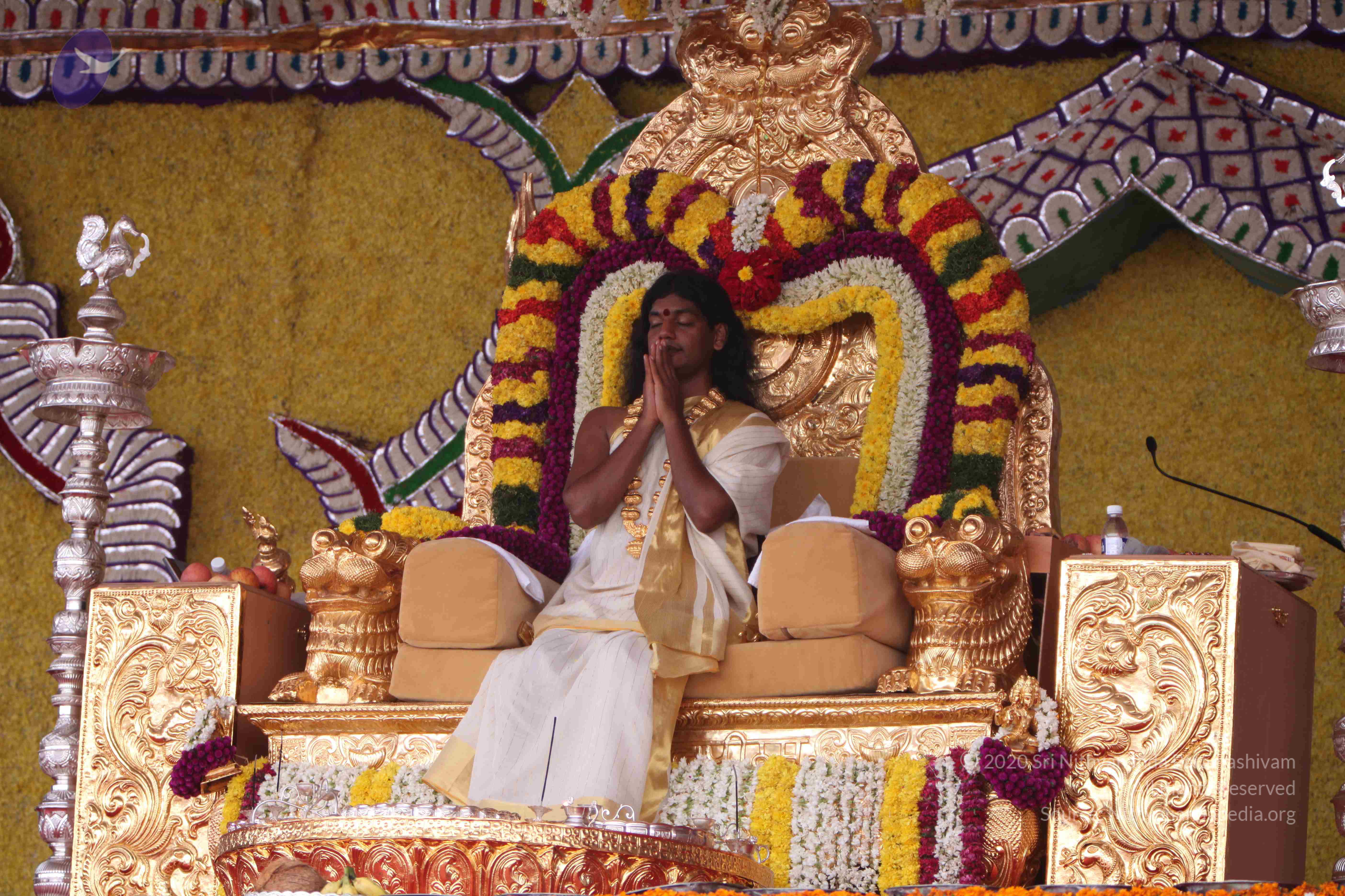 20100101_Photo_1308_IMG_4848_CMP_WM