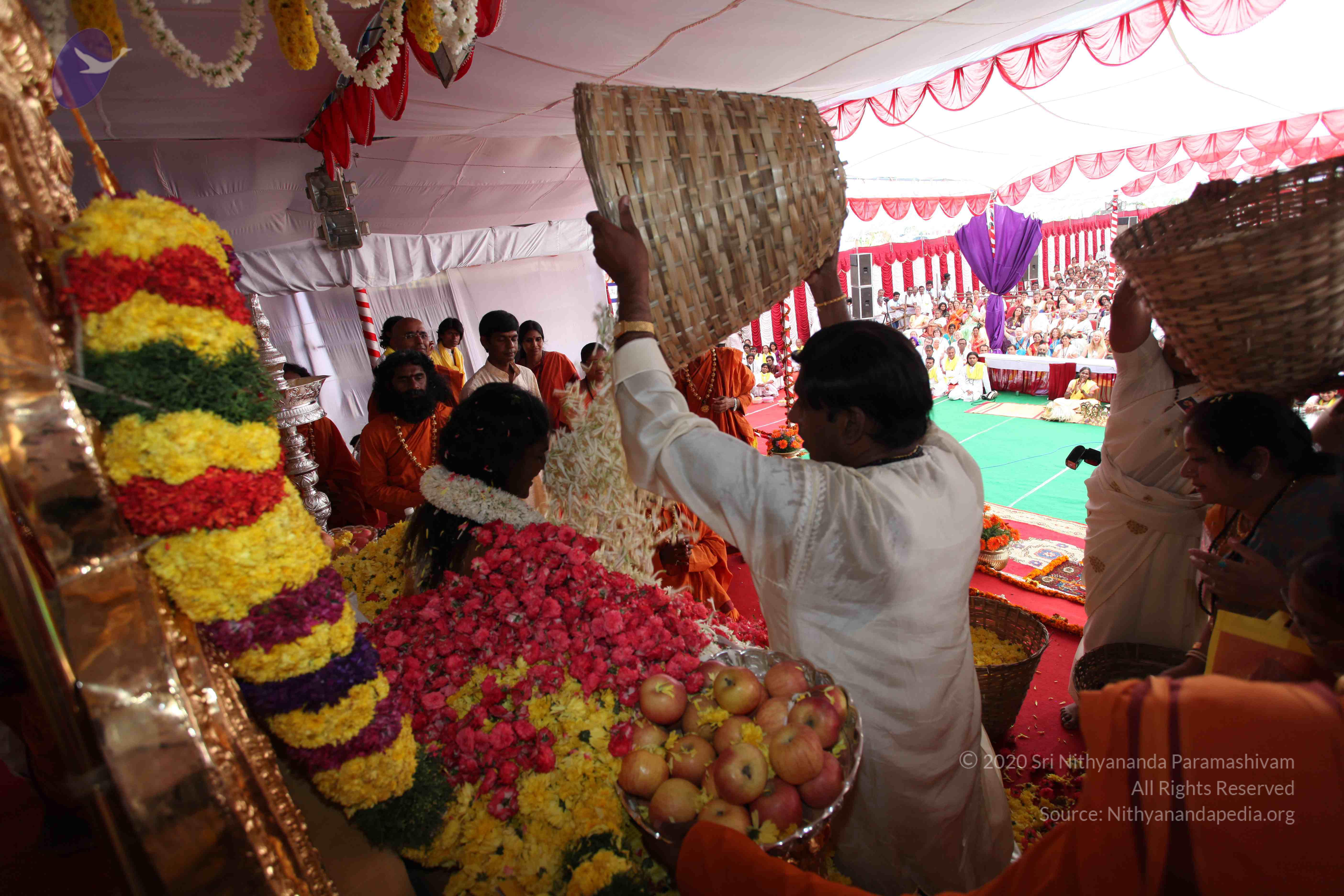 20100101_Photo_1311_IMG_5006_CMP_WM