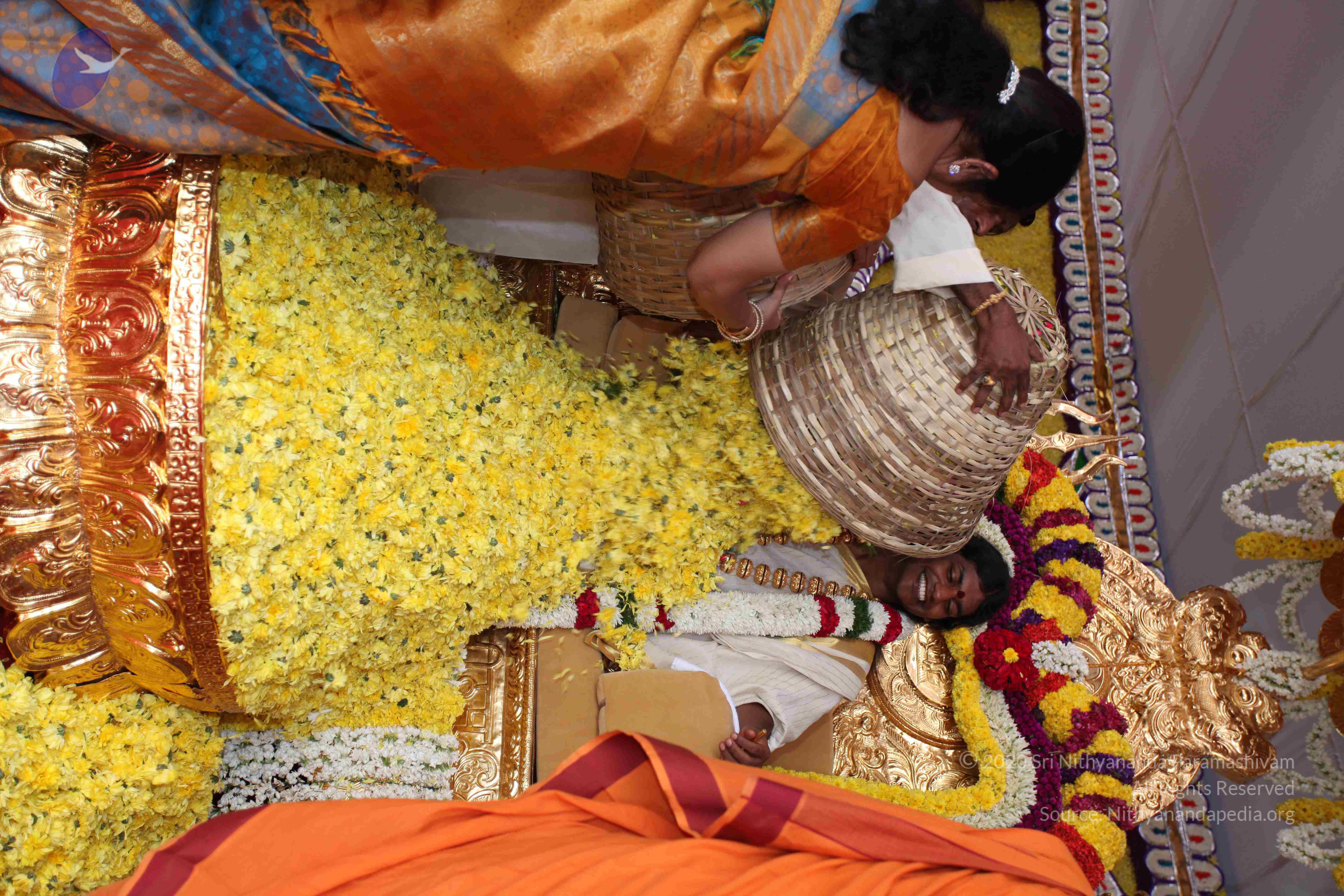 20100101_Photo_1317_IMG_4994_CMP_WM