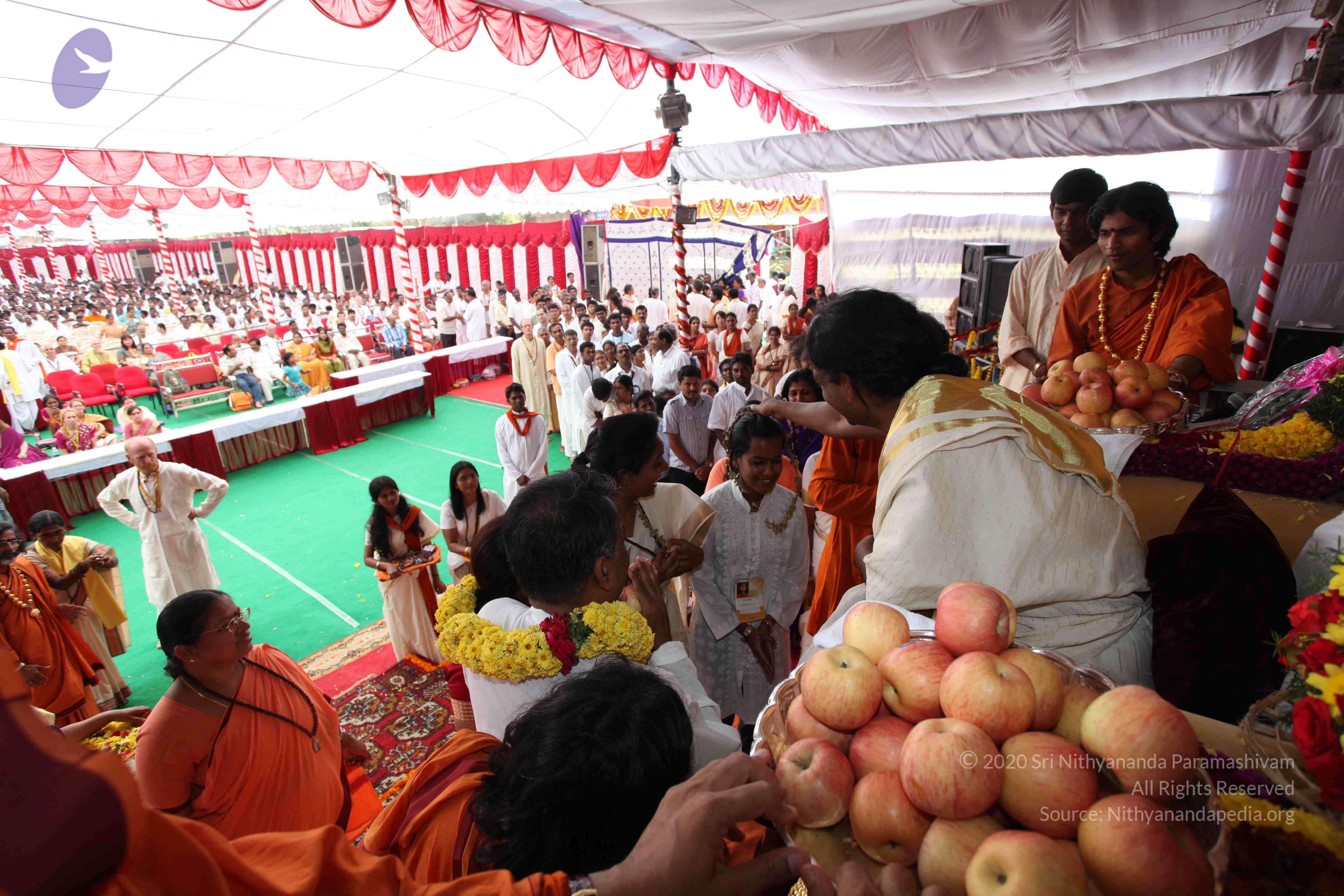 20100101_Photo_1332_IMG_5109_CMP_WM