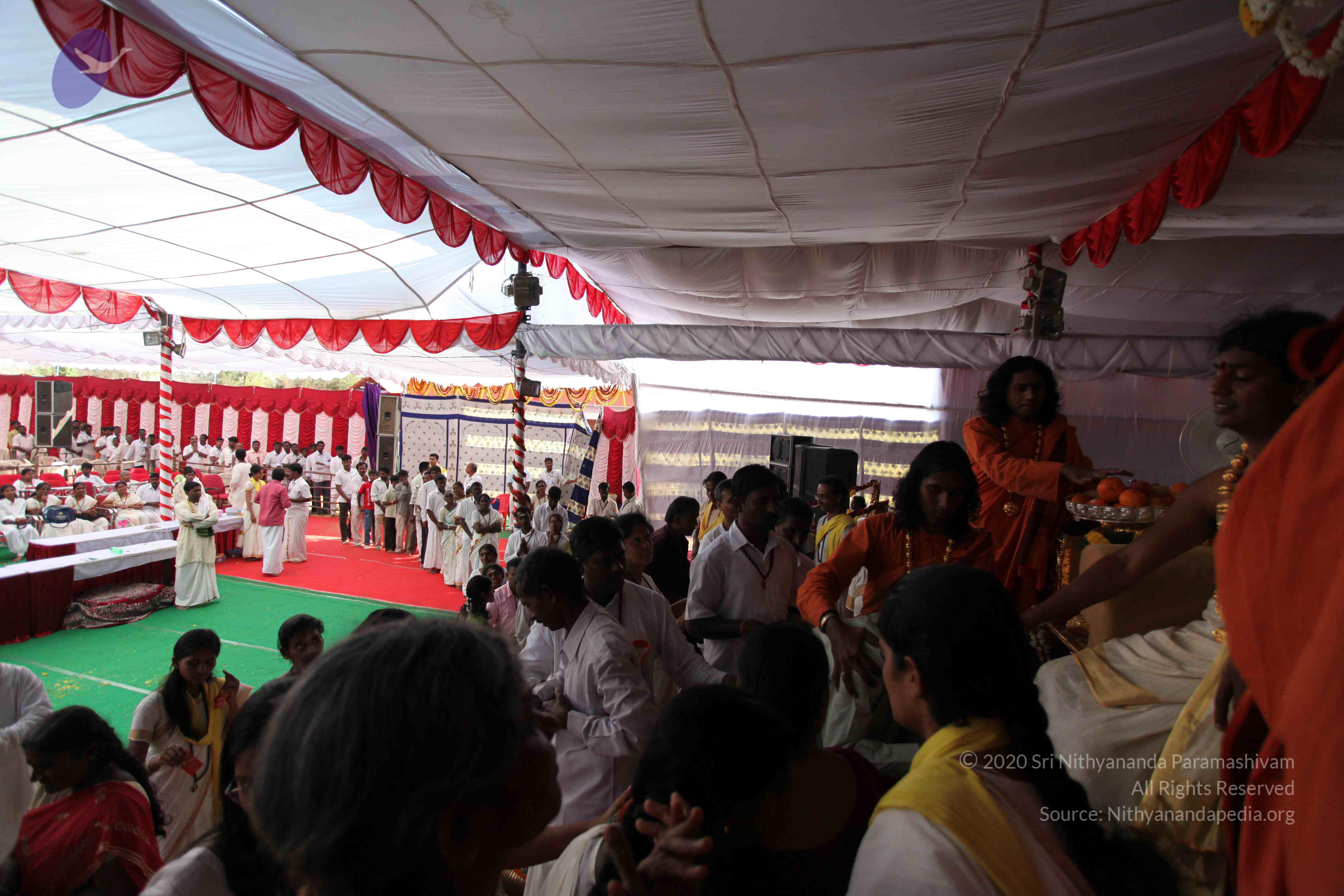 20100101_Photo_1337_IMG_5194_CMP_WM