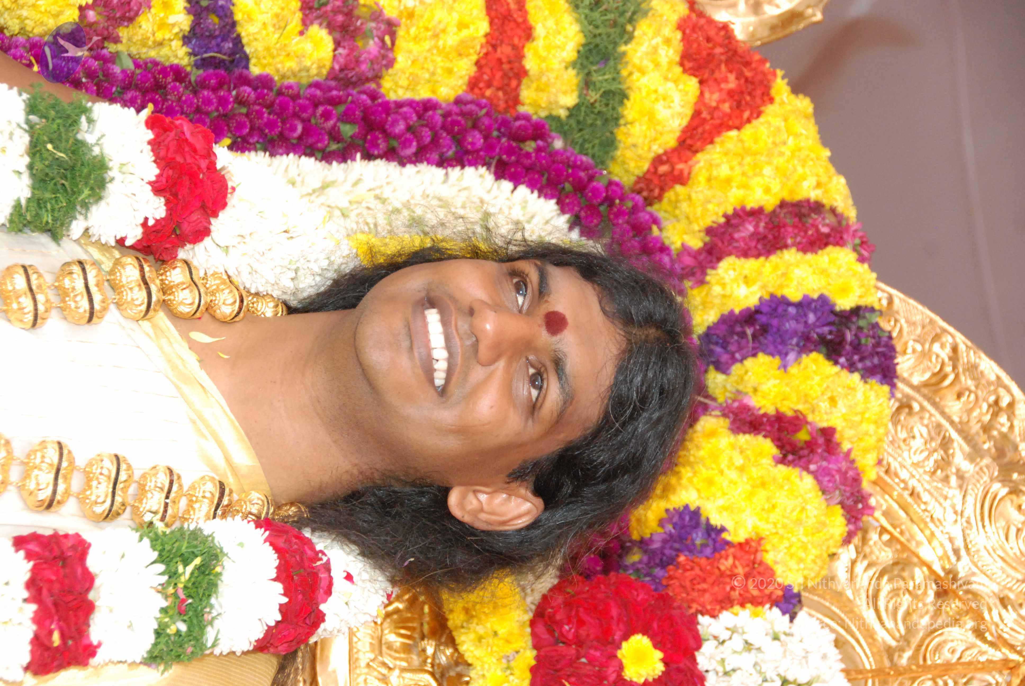 20100101_Photo_1341_DSC_2230_CMP_WM